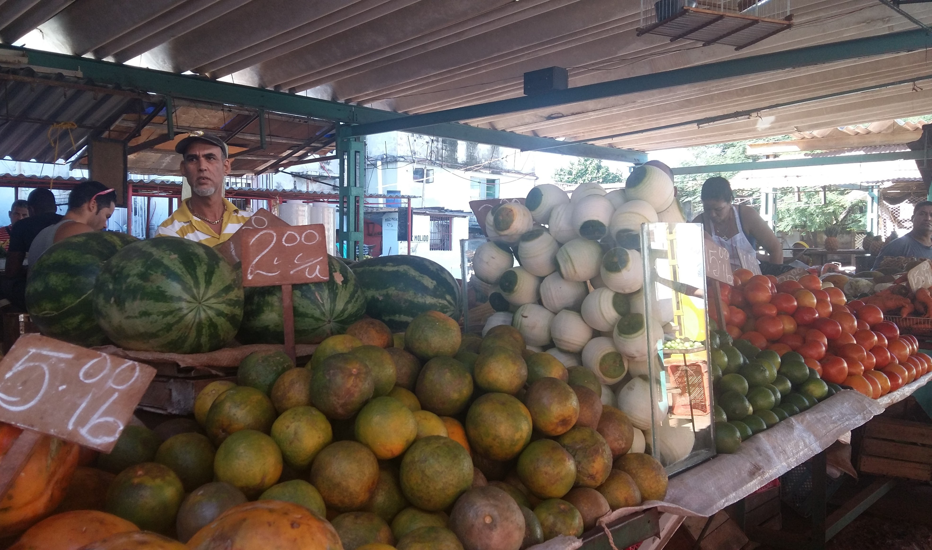 mercati-ortofrutticoli-havana-cuba