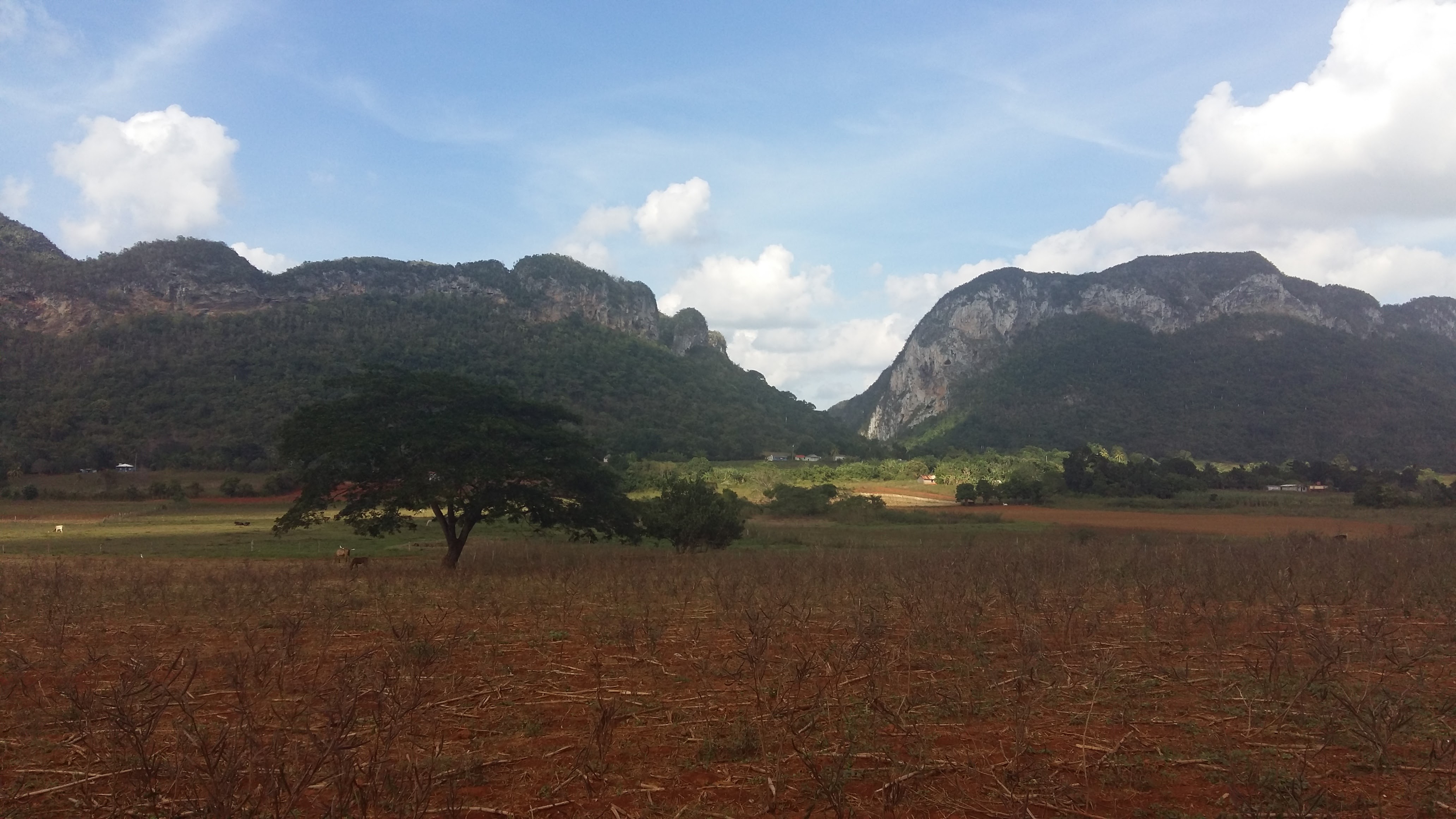 parco-nazionale-viñales-cuba