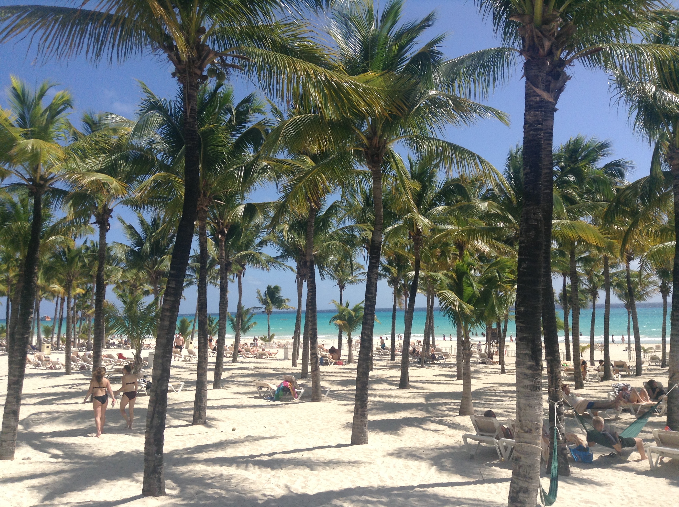 playa-del-carmen-messico-playacar-palme