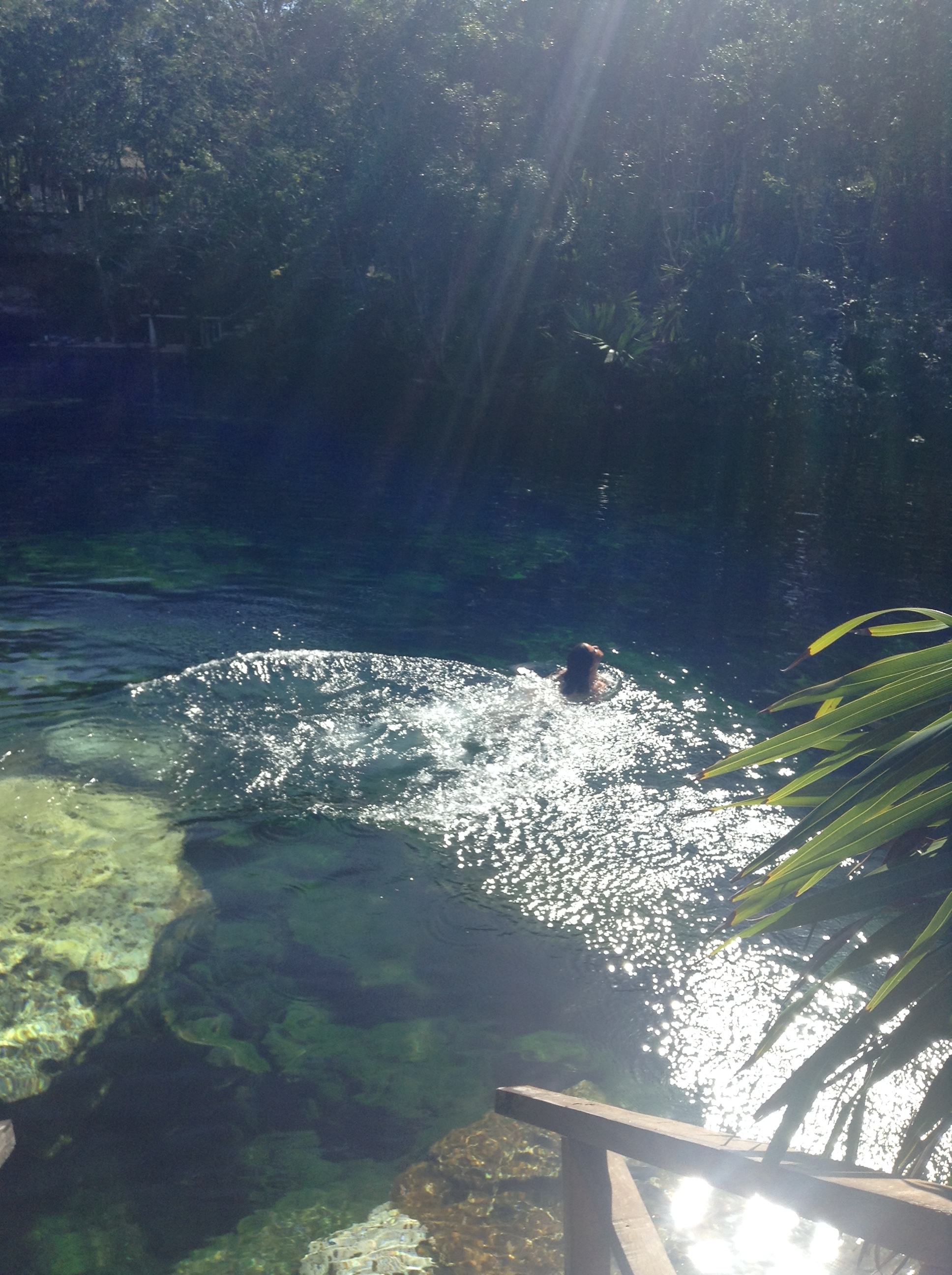 cenote-el-jardín-del-edén-messico