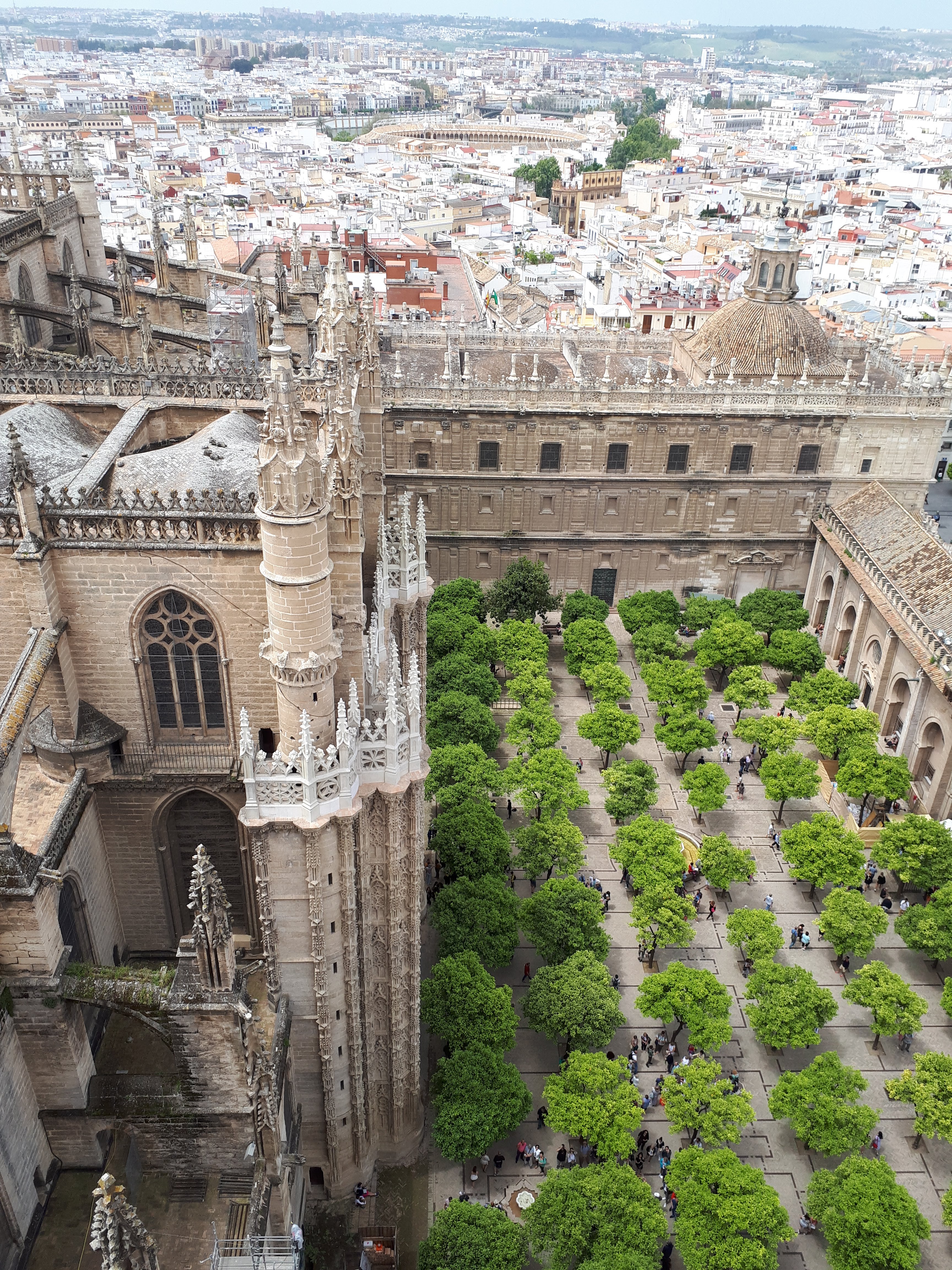 vista-patio-aranci-giralda-siviglia