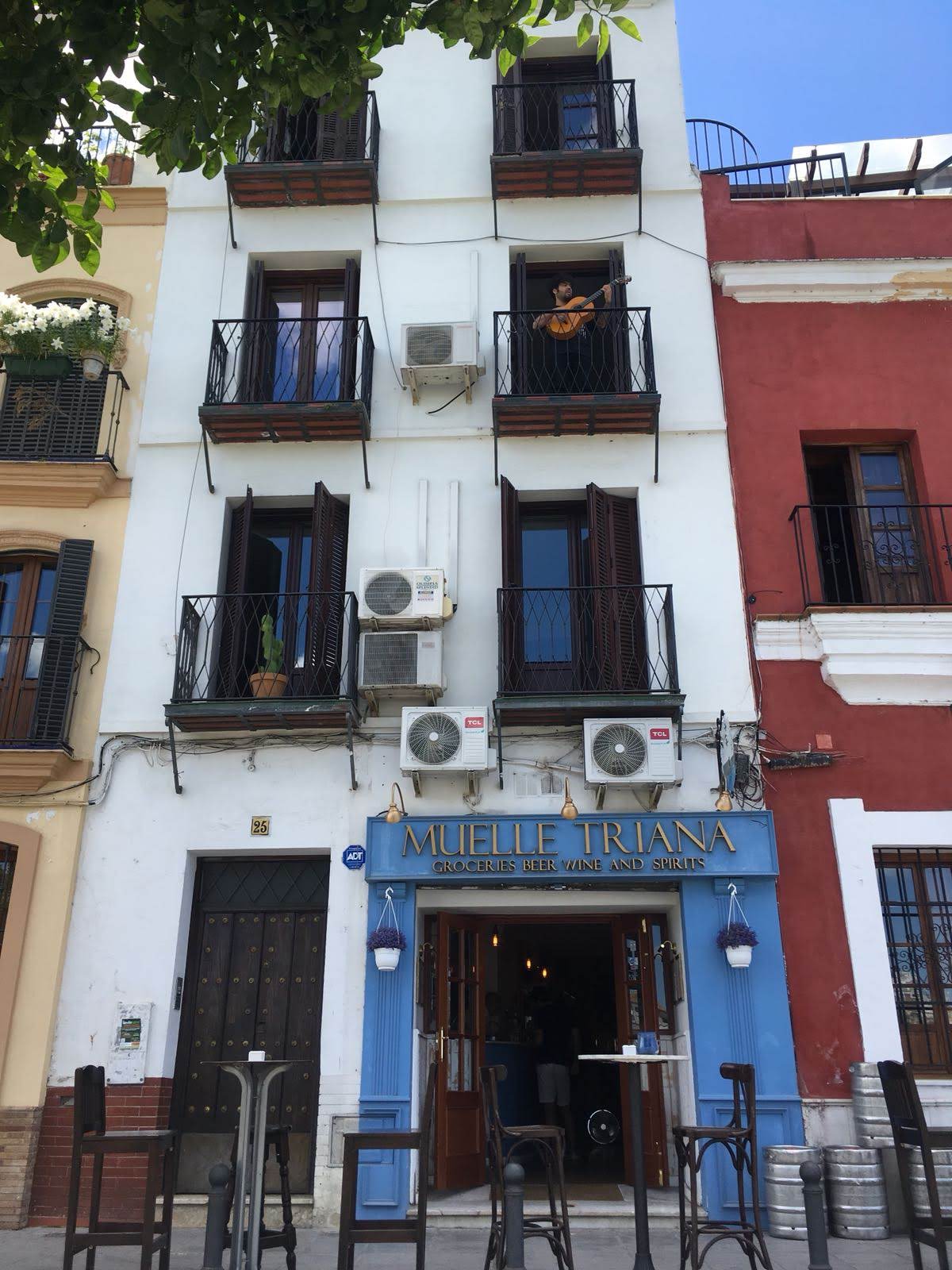 case-colorate-triana