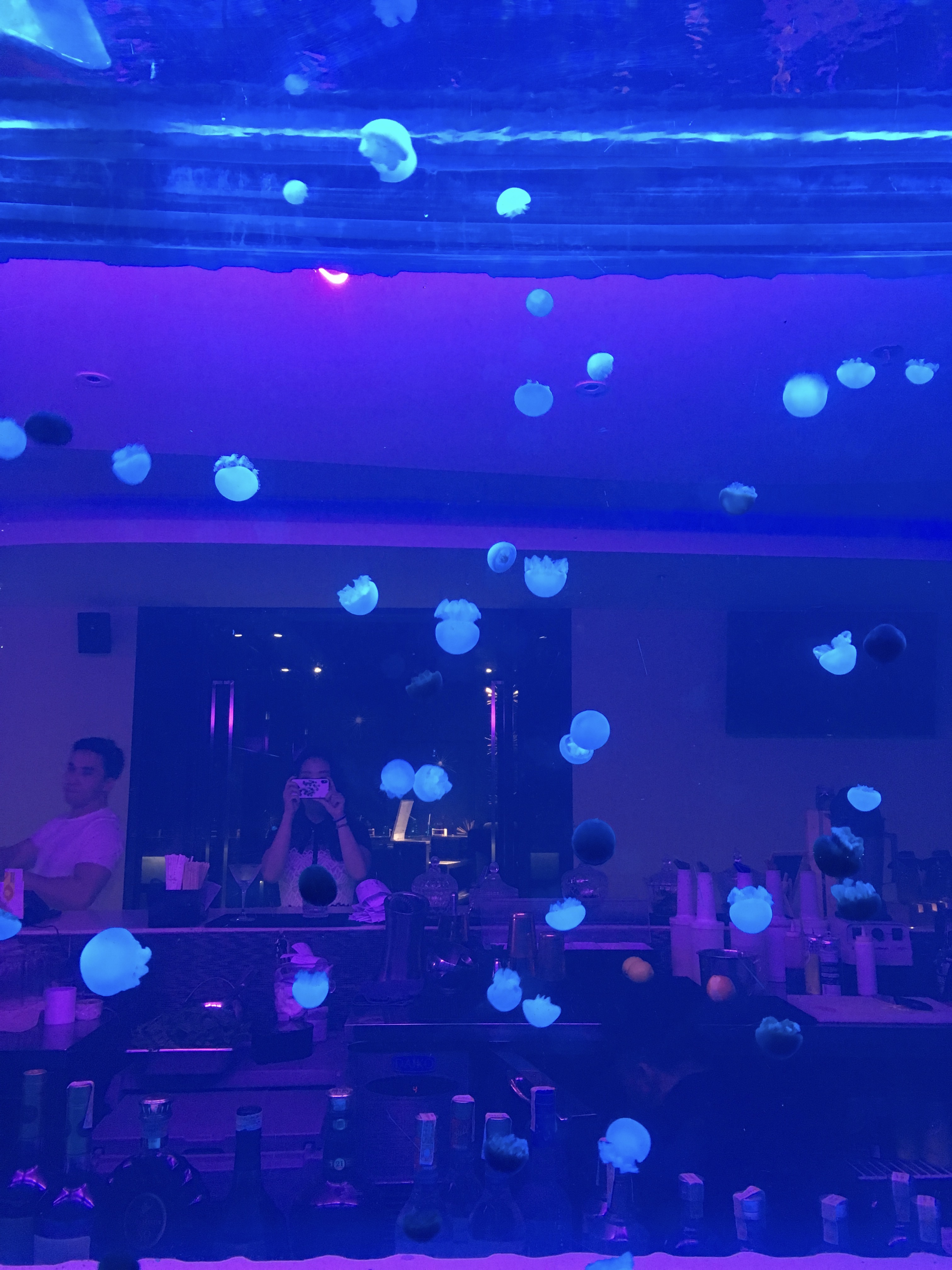 meduse-bar-hotel-imhotel-manila