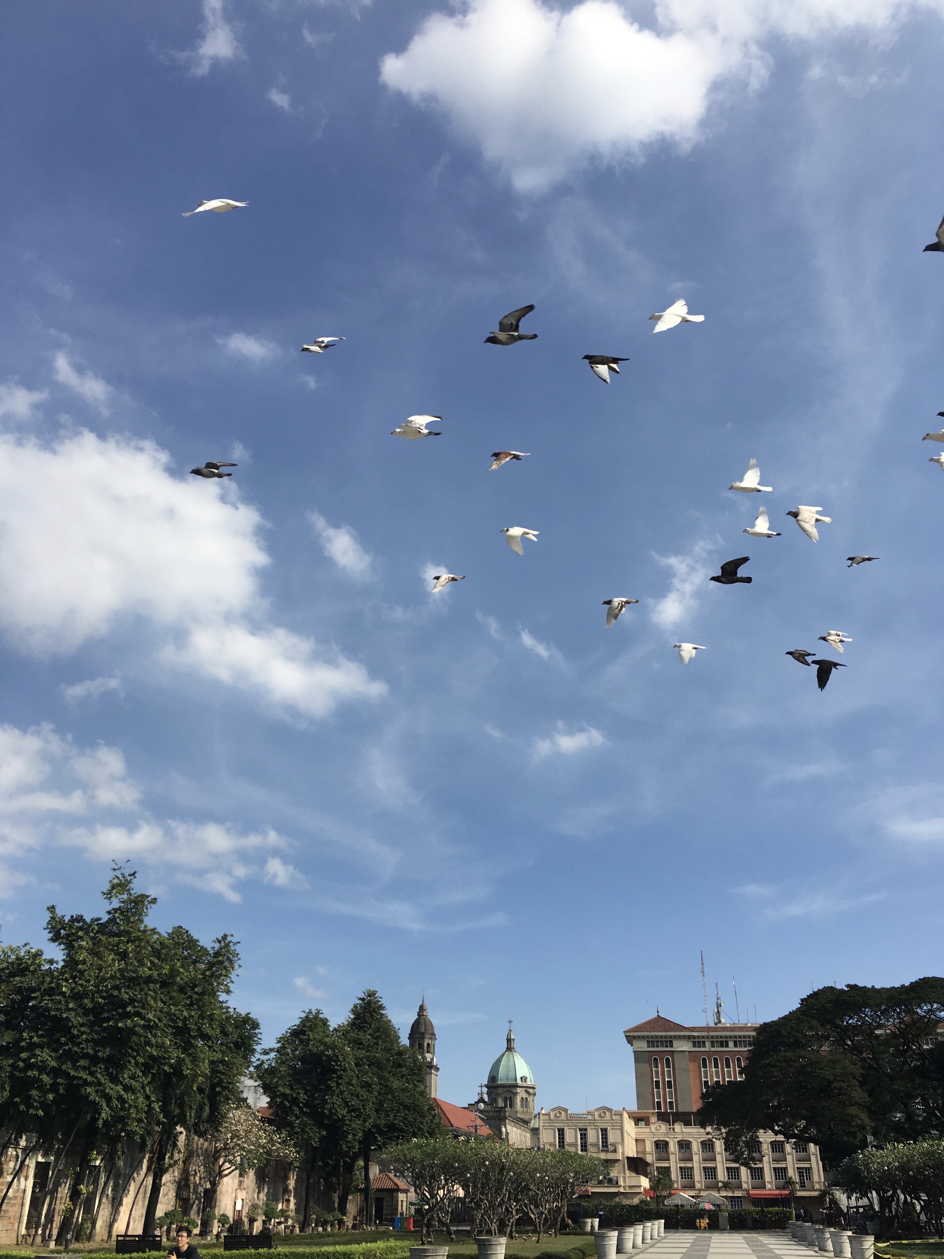 vista-intramuros-manila