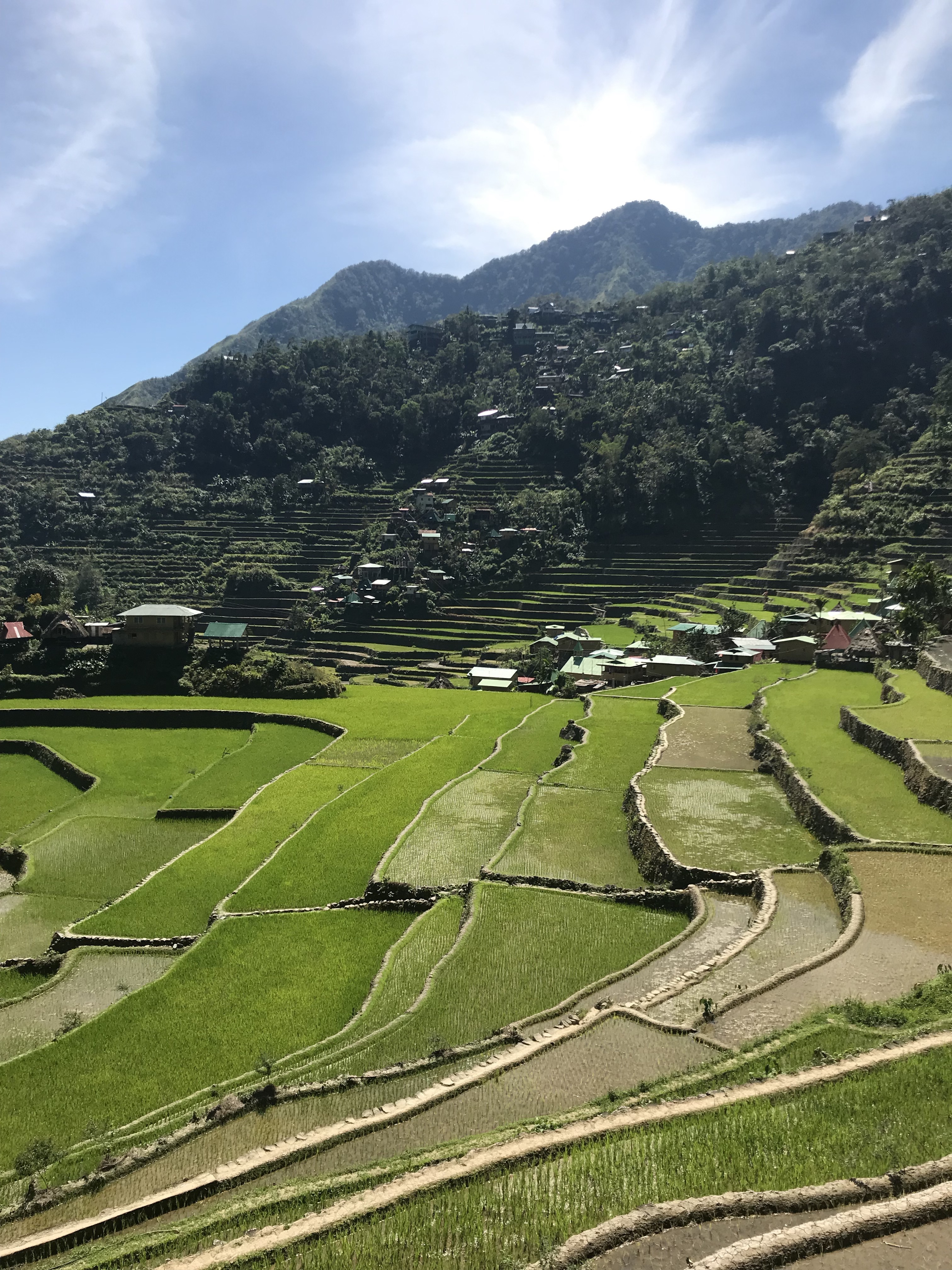 risaie-terrazza-batad