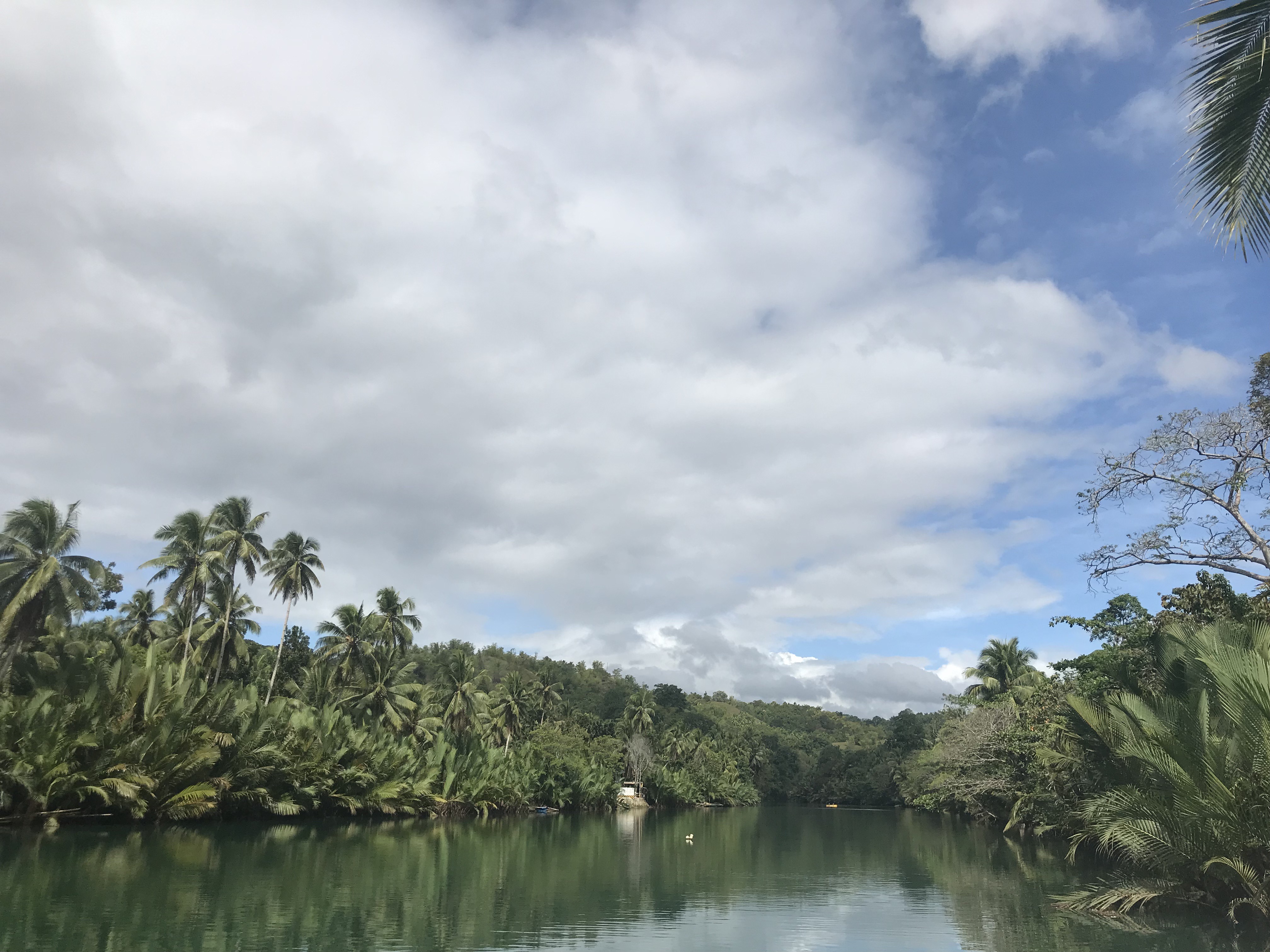 fiume-loboc-bohol