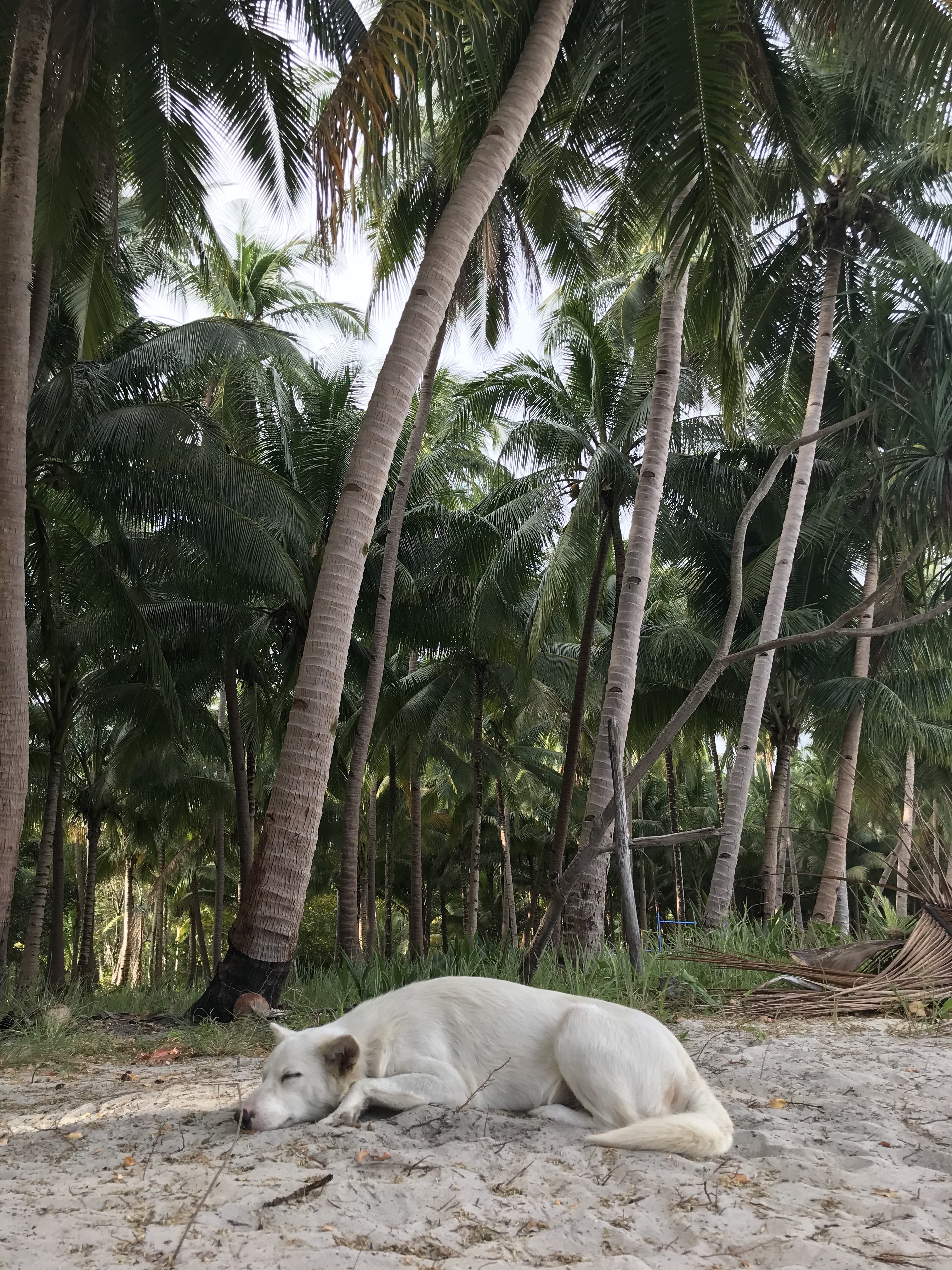 mahilamonen-beach-palawan