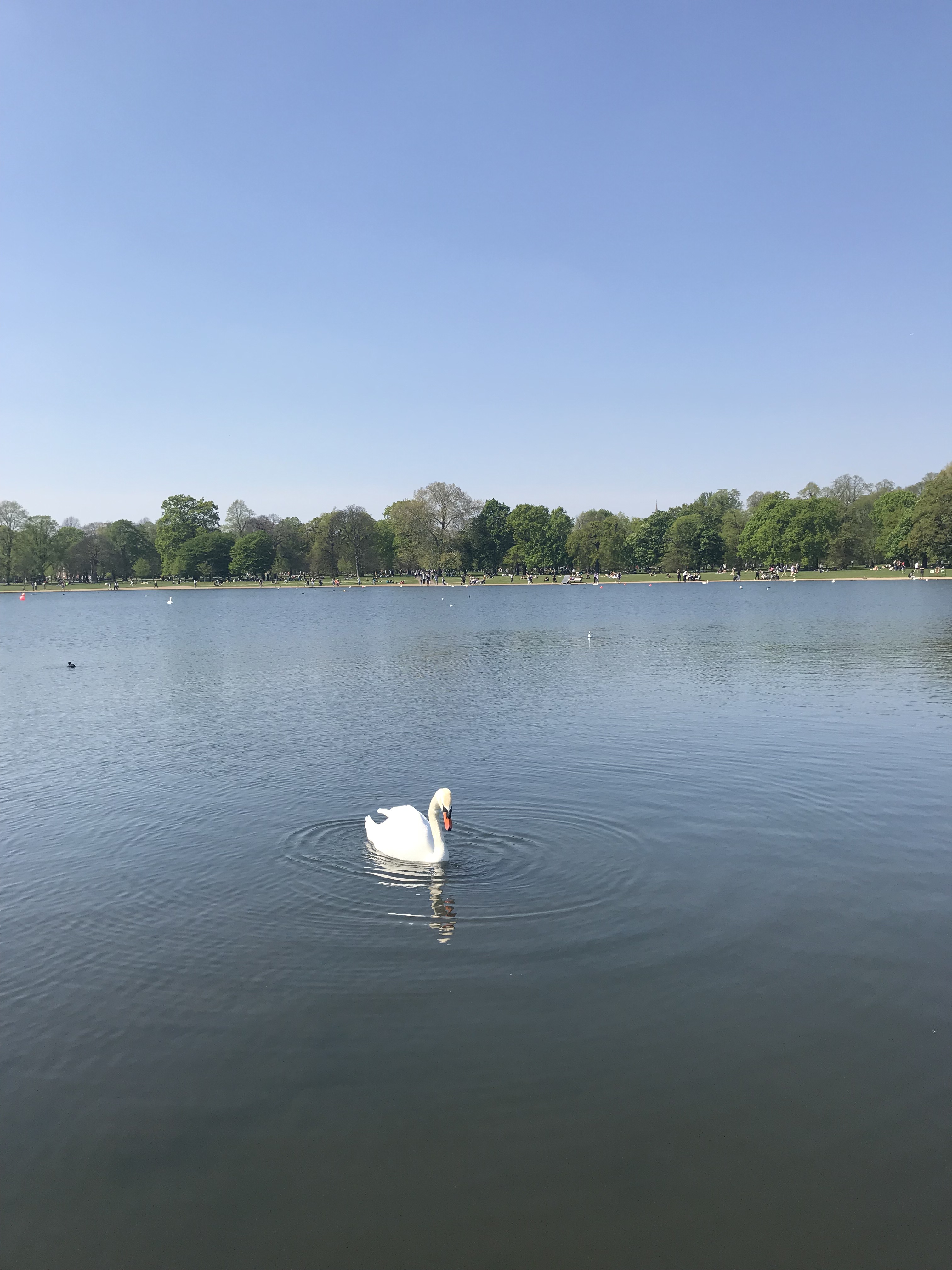 parco-kensingtons-garden-londra