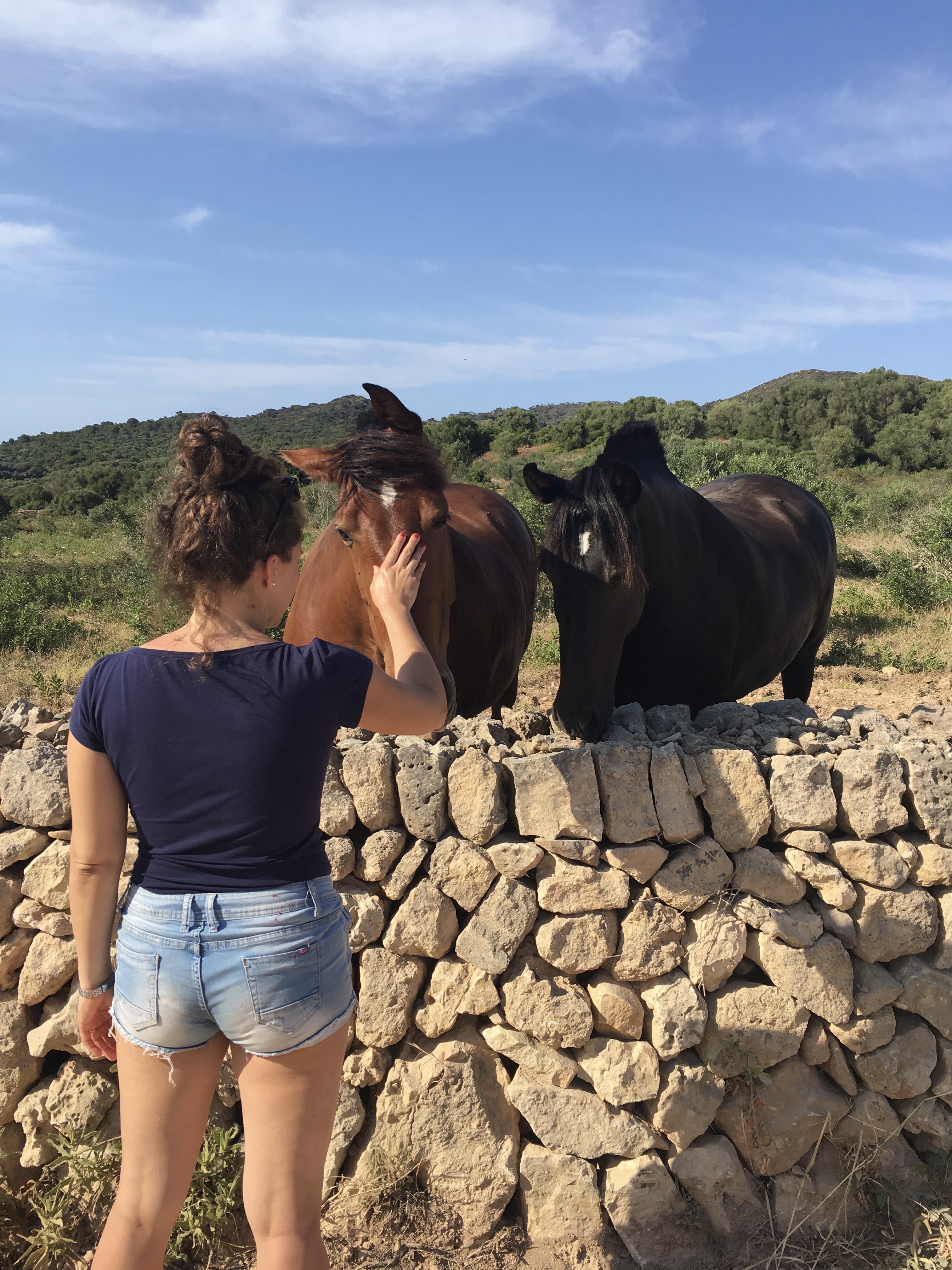 cavalli-minorchini-minorca-spagna