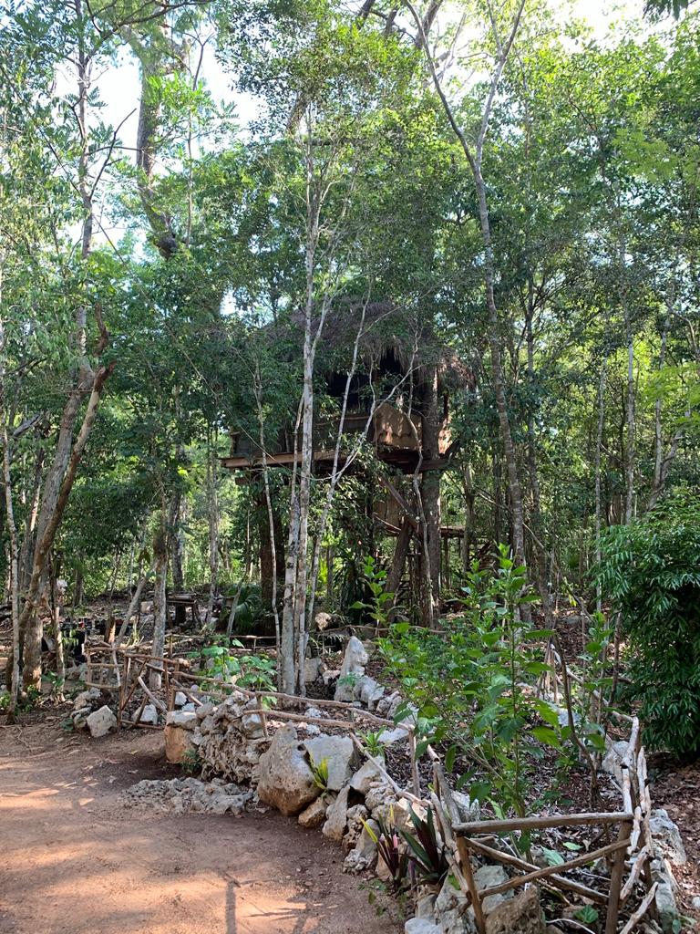 casa-albero-casa-aztlan-cobá-quintana-roo-messico