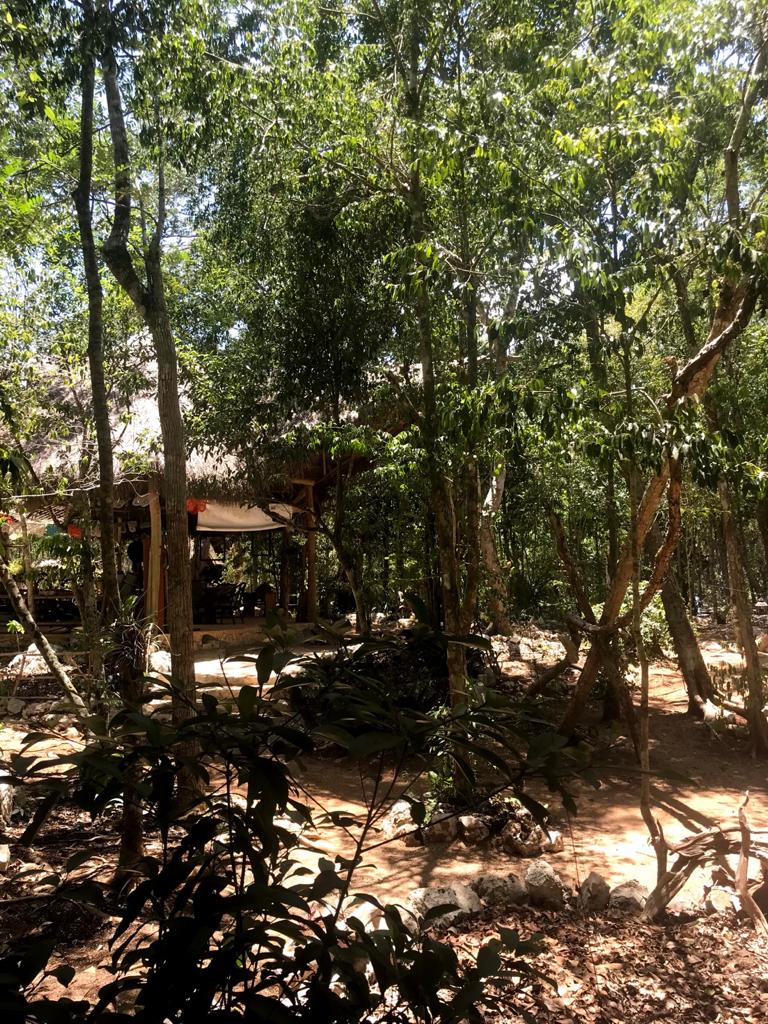 casa-aztlan-cobá-quintana-roo-messico