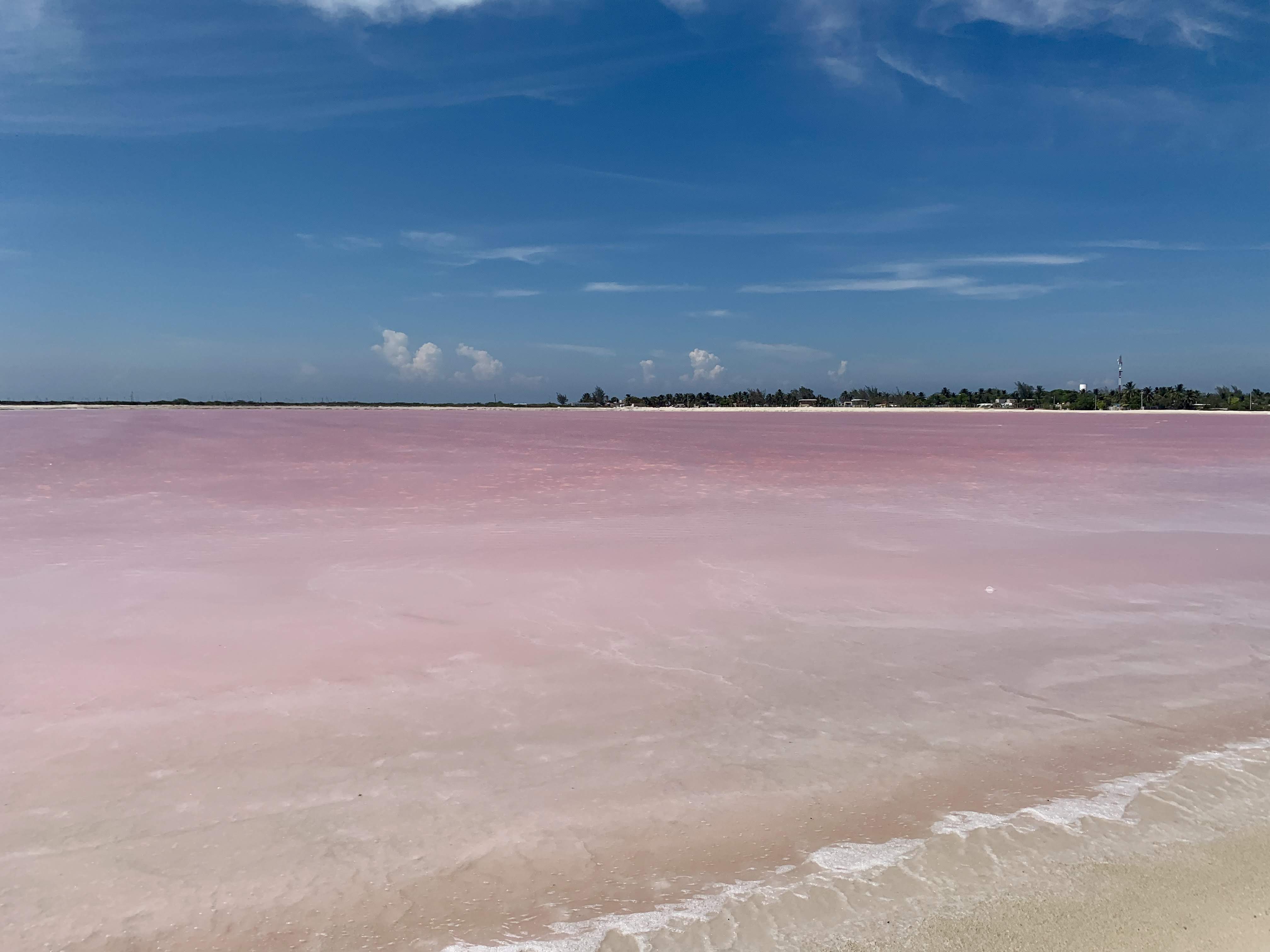 laguna-rosa-las-coloradas-yucatán-messico