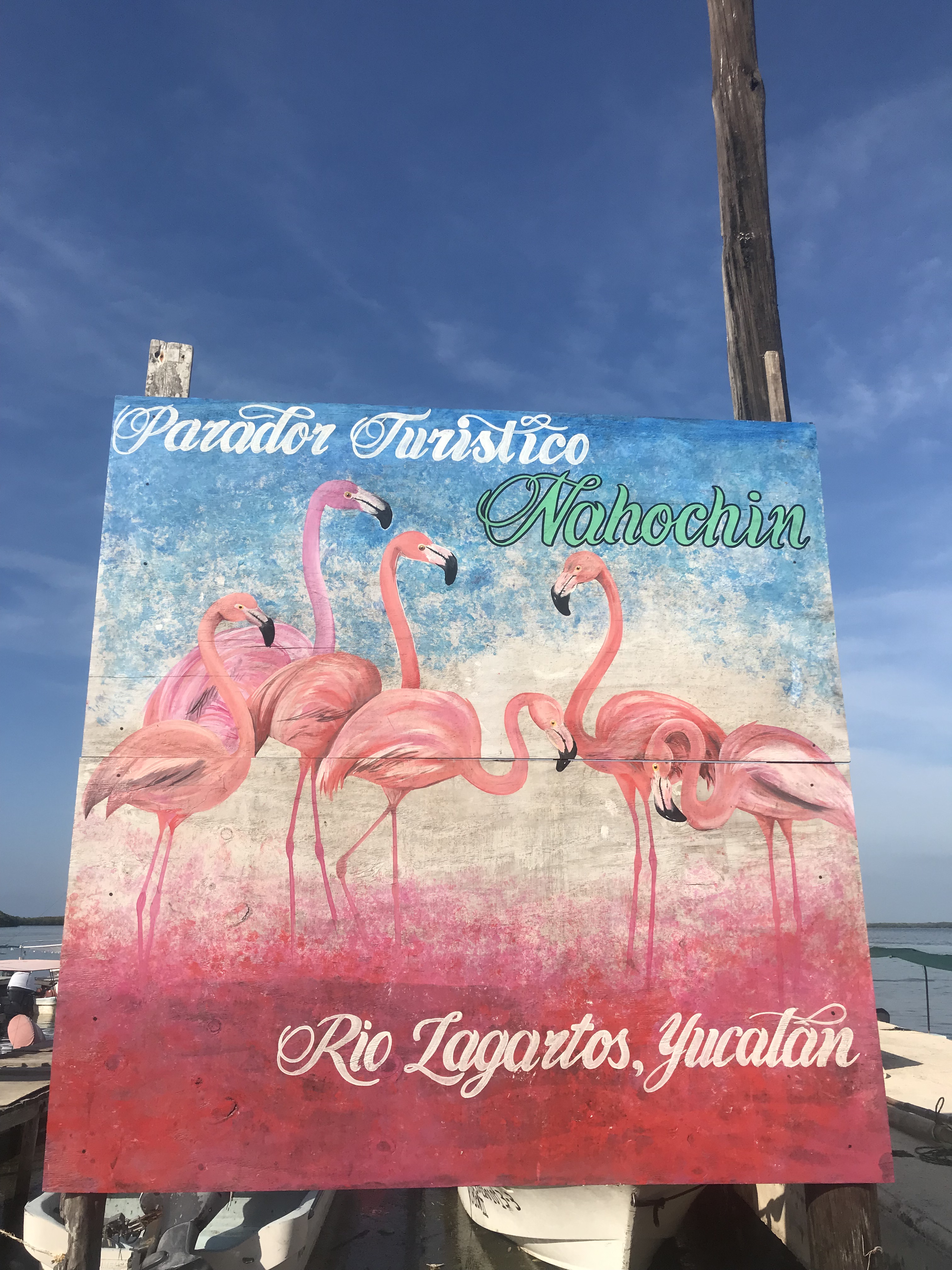 rio-lagartos-fenicotteri-yucatán-messico