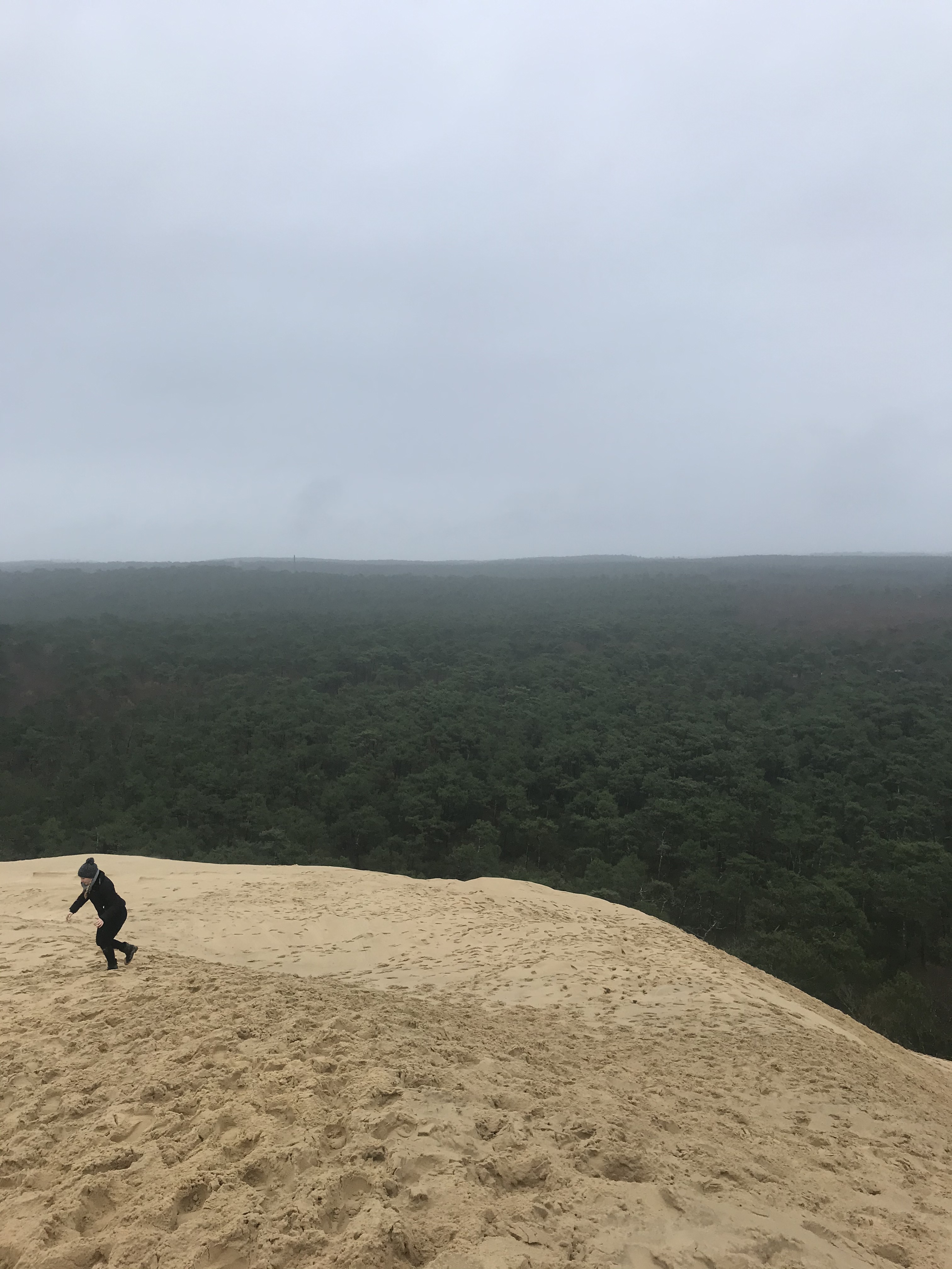 duna-di-pilat-paesaggio-circostante