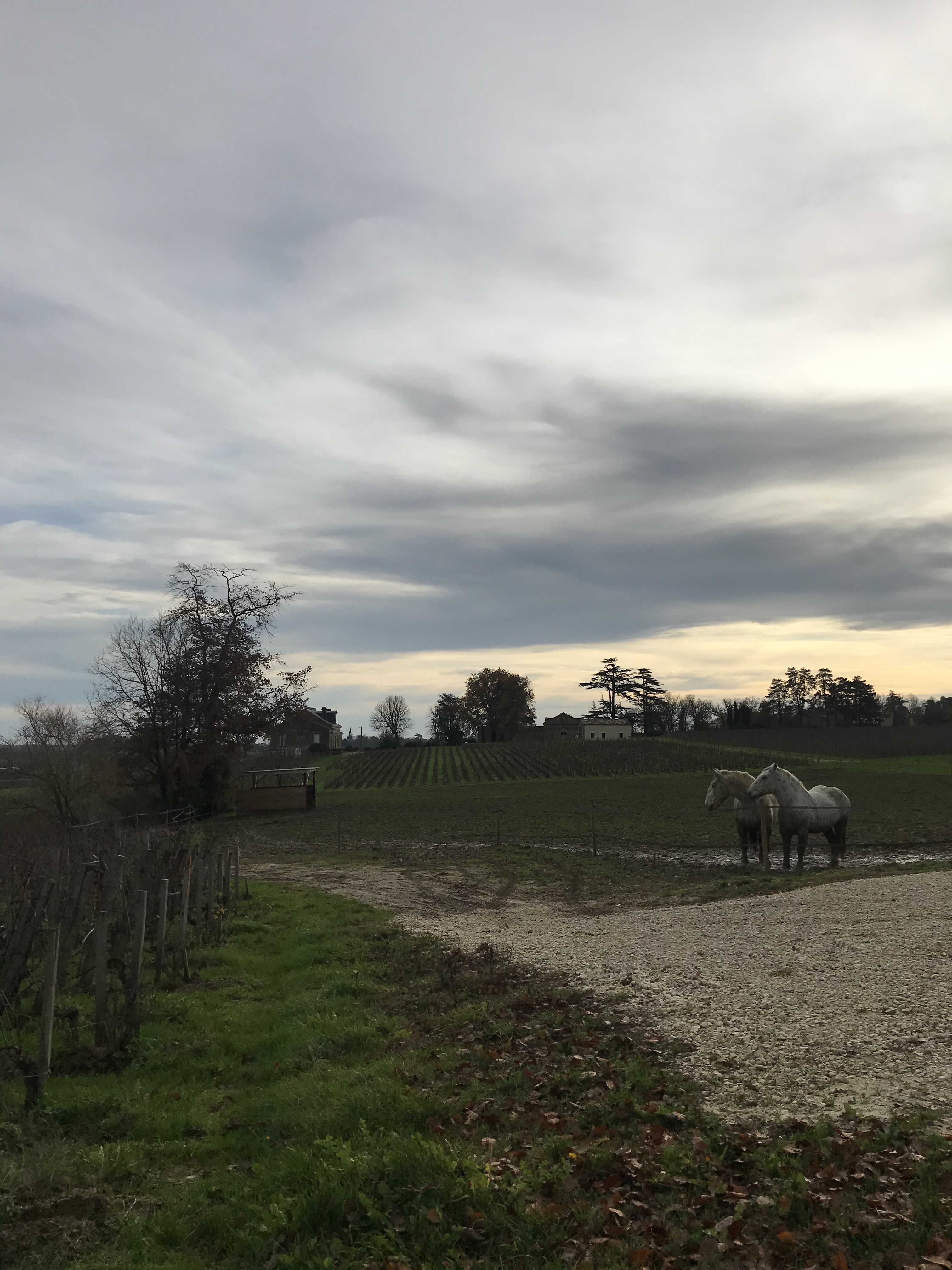 scorcio-romantico-saint-émilion