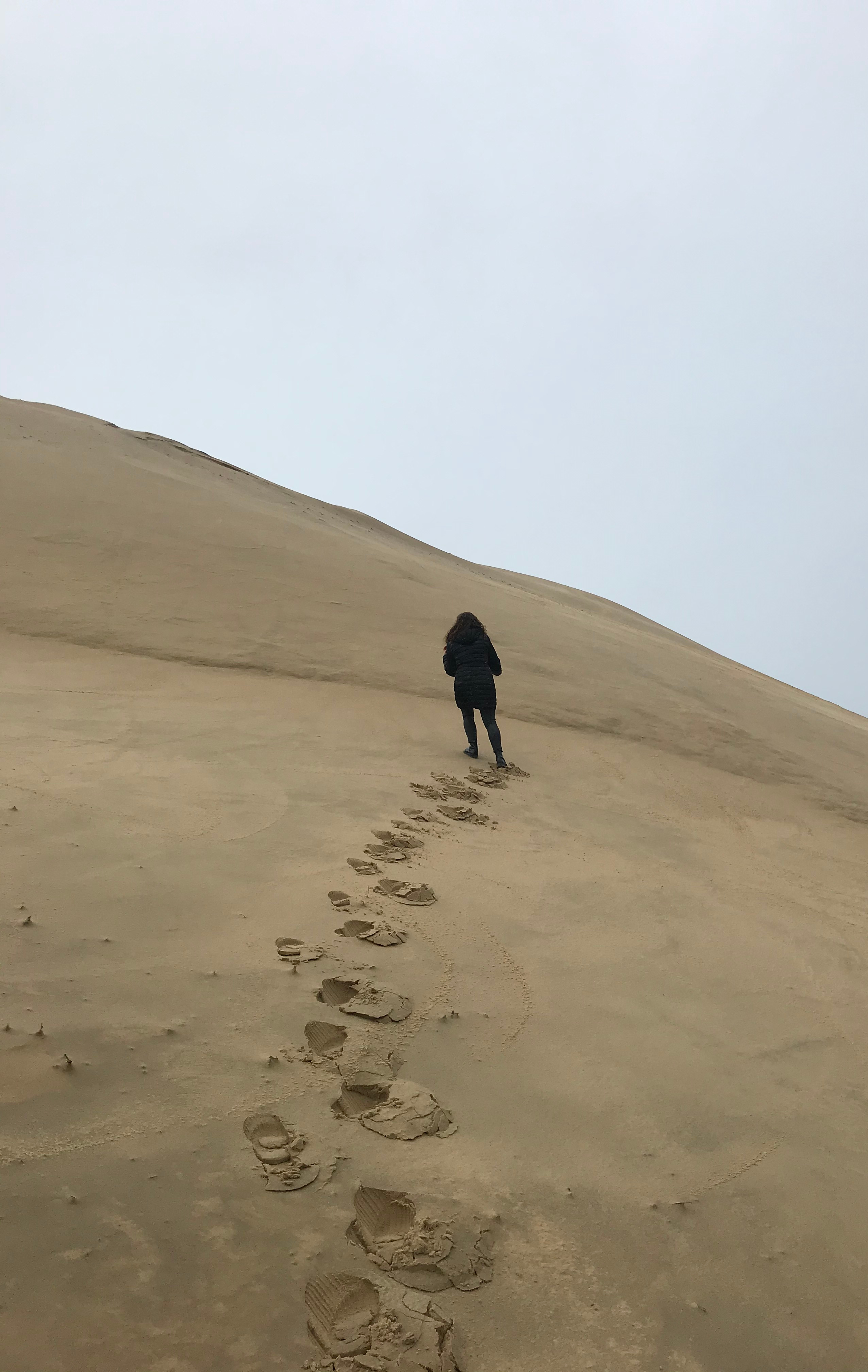 scalare-duna-pilat-duna-sabbia-più-alta-europa