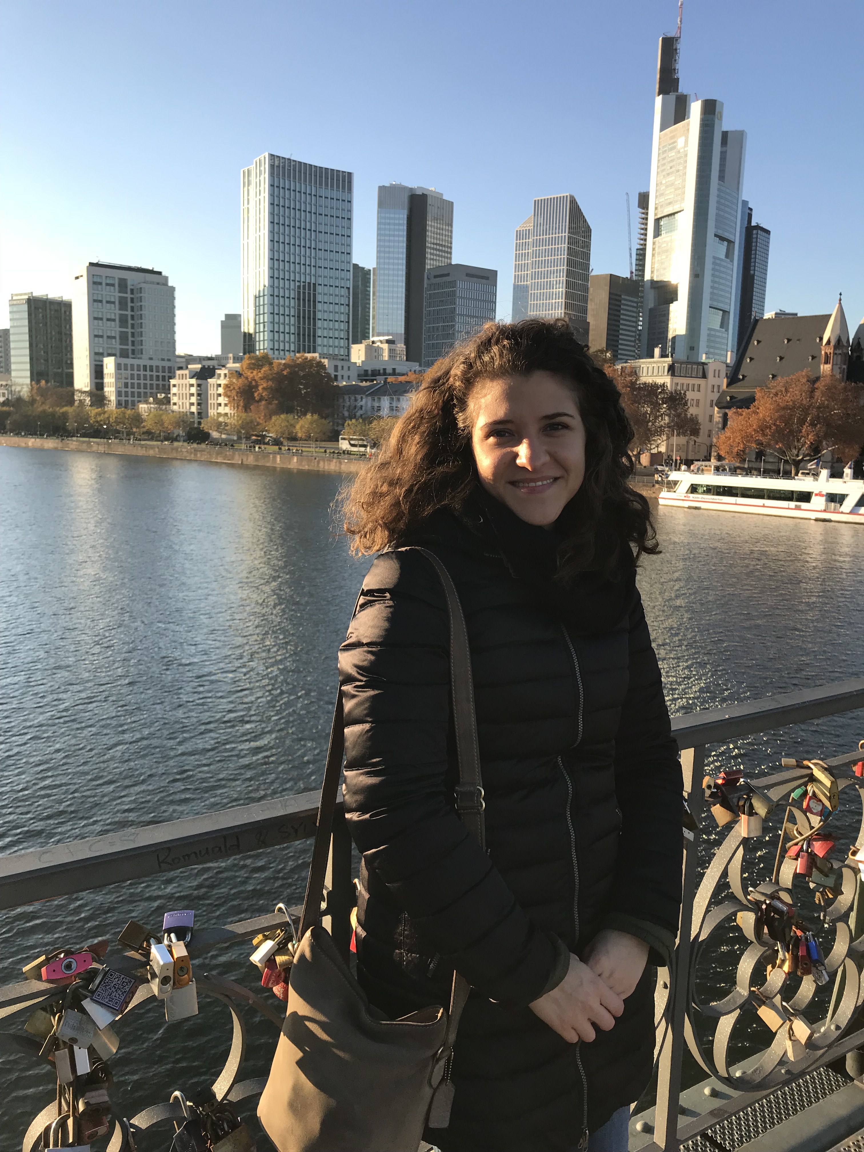 vista-grattacieli-eiserner-steg-francoforte