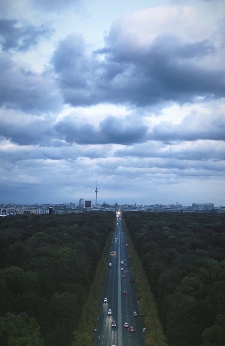 vista-tiergarten-berlino-siegessäule