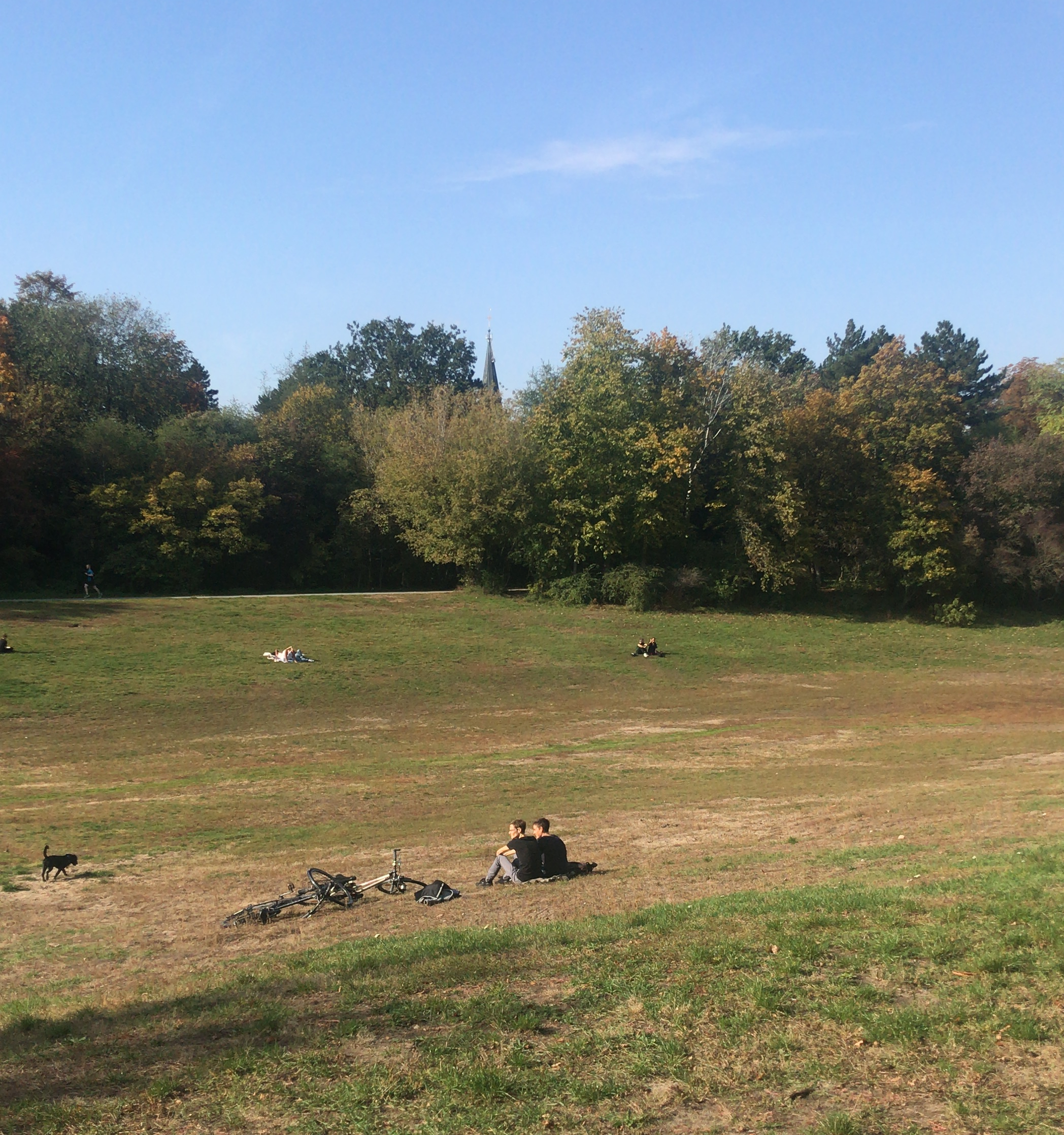 natura-selvaggia-hasenheide-berlino