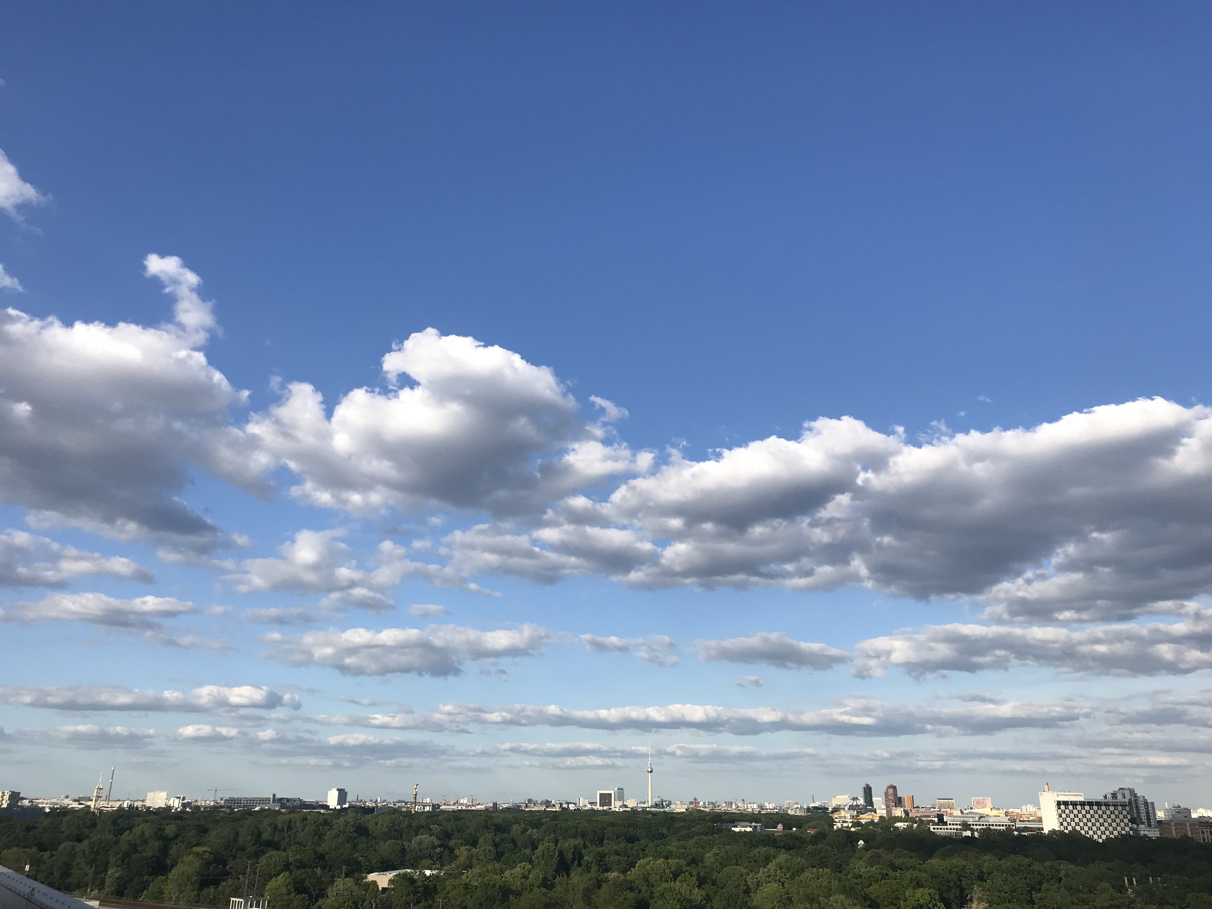 vista-tiergarten-berlino