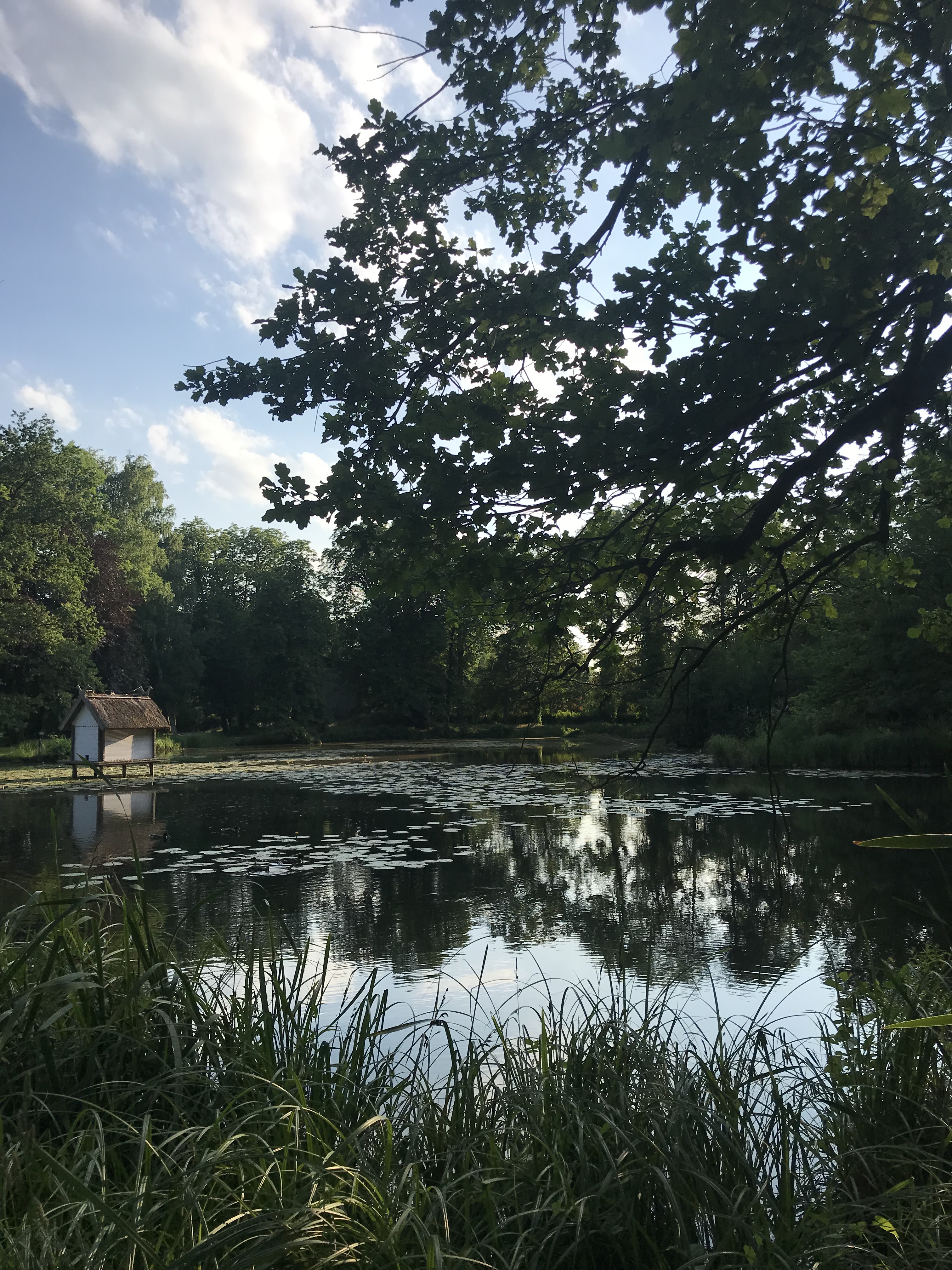 laghetto-schloßpark-lübbenau