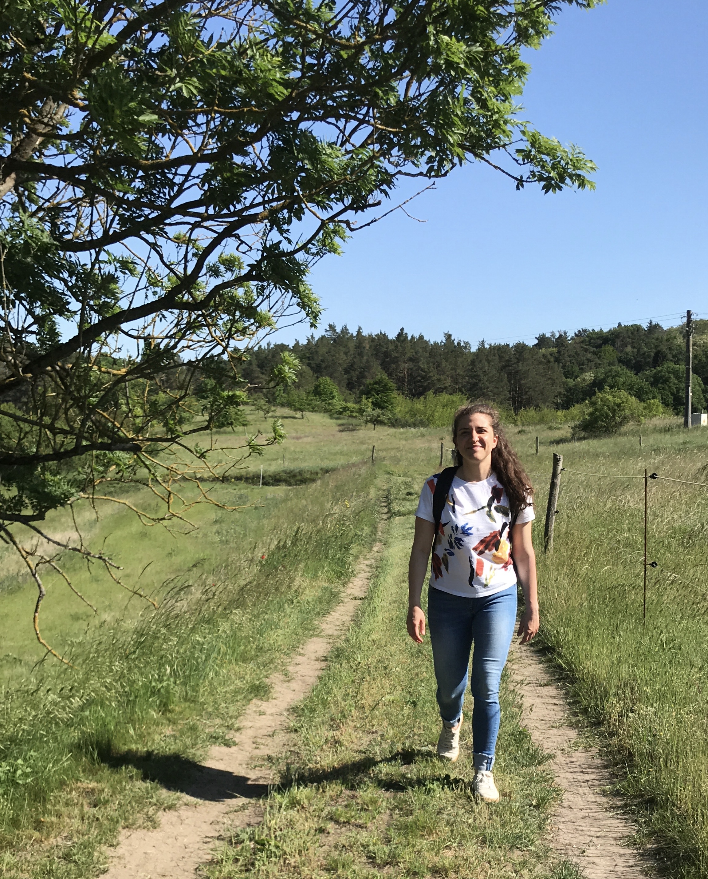 sentieri-campagna-buckow-märkische-schweiz