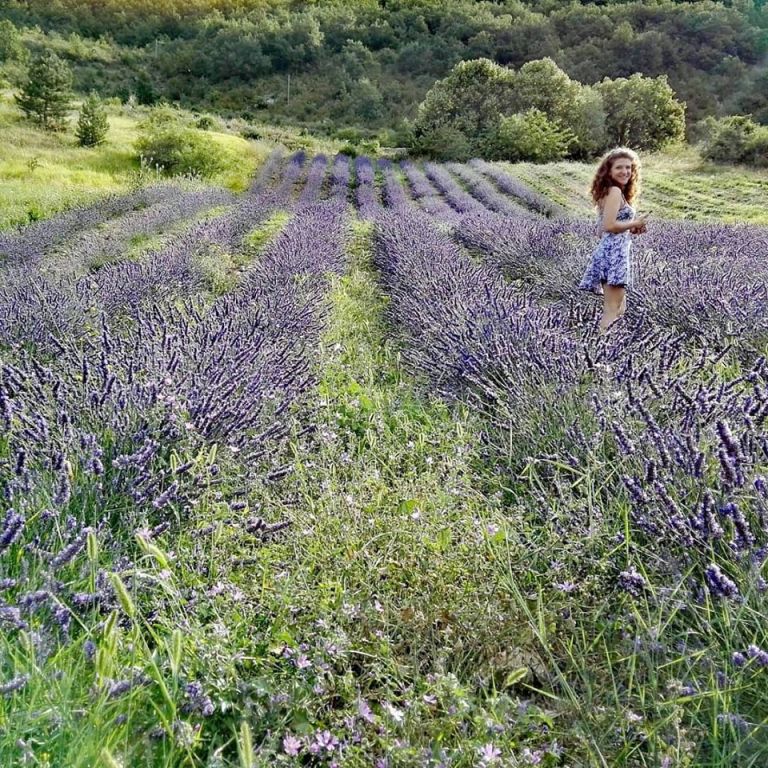 provenza-viaggio-campi-di-lavanda