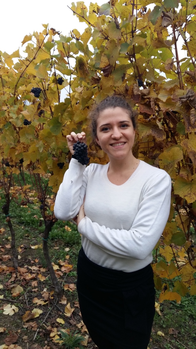 weekend-engastronomico-langhe-piemonte