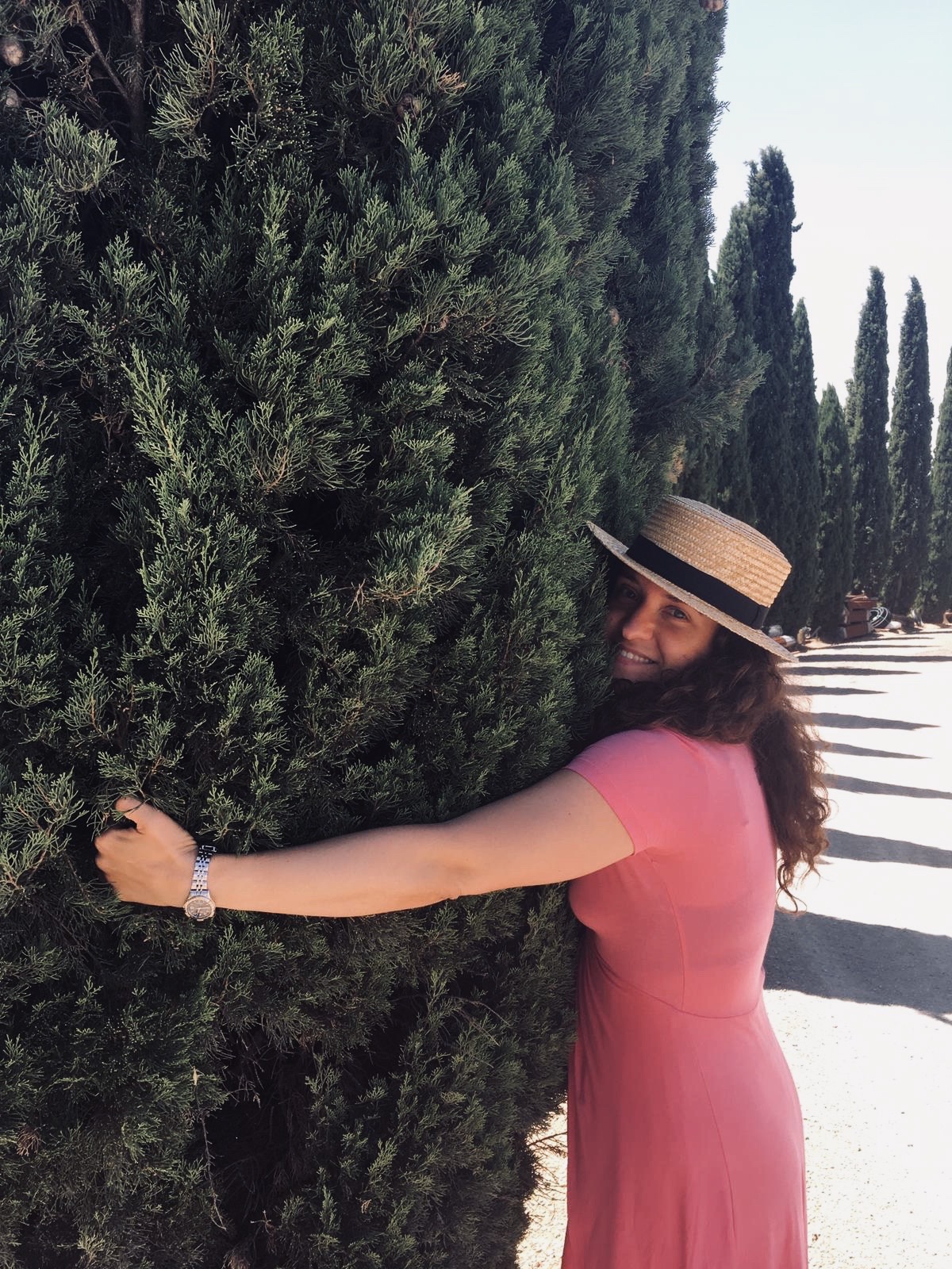 cipressi-toscana-val-d'orcia