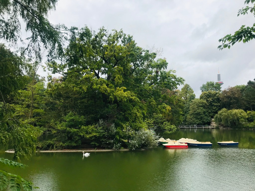 Il bel parco del Palmengarten - Francoforte, Hessen, Germania