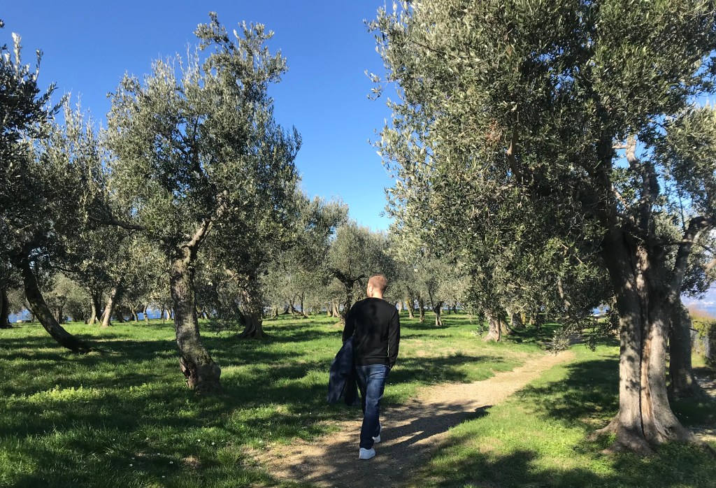 Johannes passeggia tra gli olivi del parco delle Grotte di Catullo - Sirmione, Brescia, Italia