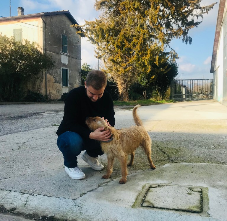 Uomo accarezza un cane a Desenzano del Garda - Lombardia, Italia