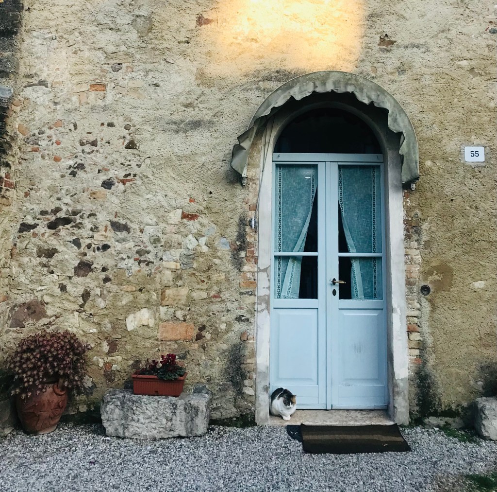 Gatto nel borgo - Castellaro Agusello, Lombardia, Italia