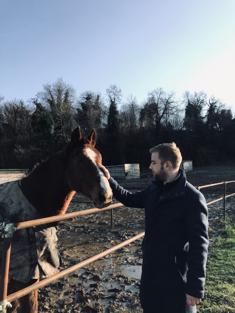 Carezze a un cavallo alla scuderia Borgo Le Coccole - Volta Mantovana, Lombardia, Italia