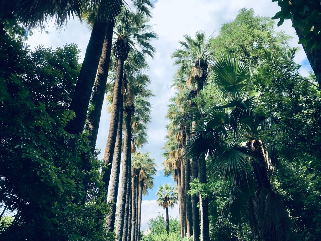 Splendide piante abitano il Giardino Nazionale - Atene, Grecia