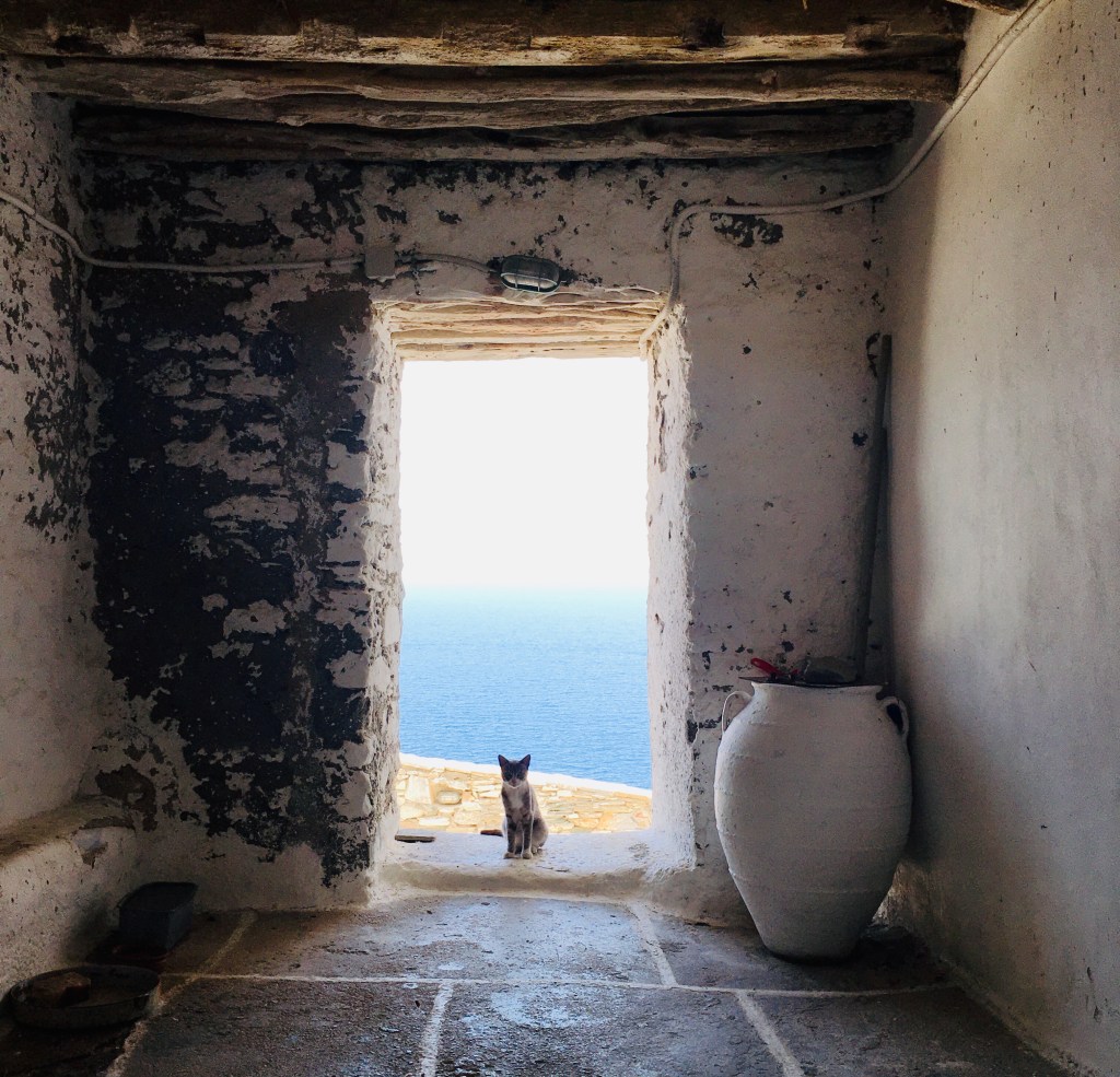 I gatti sono gli abitanti più numerosi di Kastro - Sifnos, Isole Cicladi, Grecia