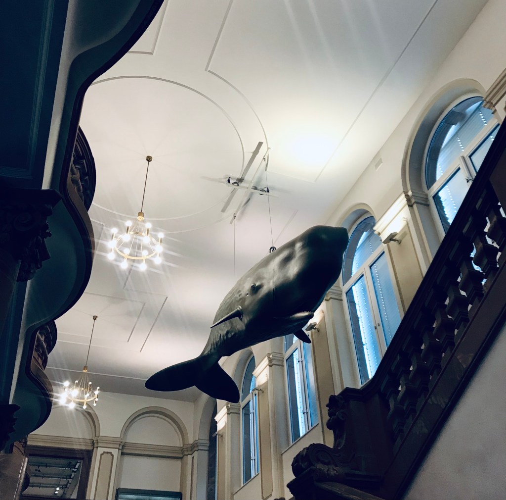 Dettagli dolcissimi del museo di storia naturale Senckenberg - Francoforte, Hessen, Germania