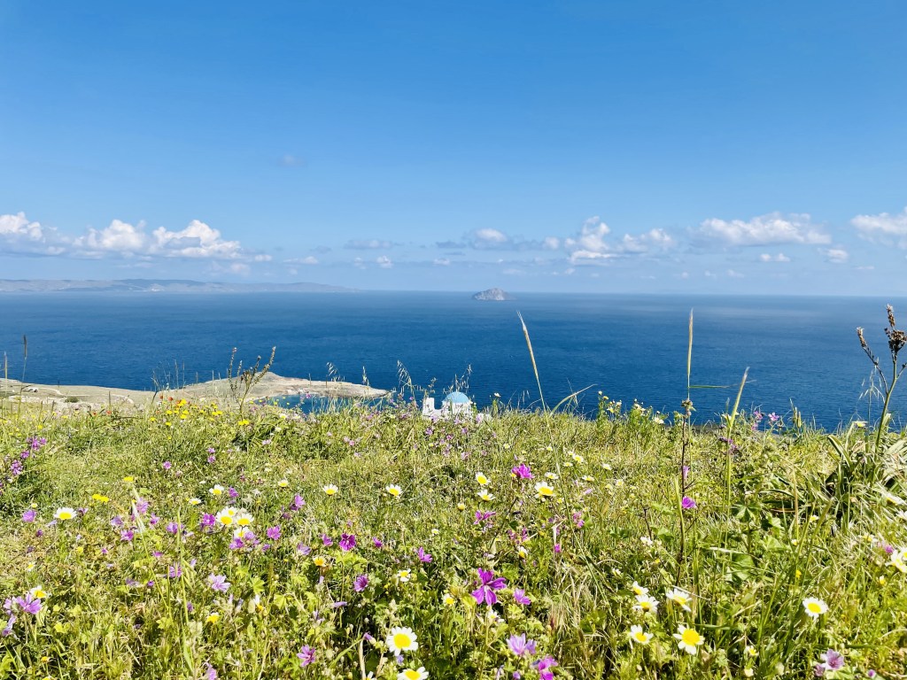 Fioriture, il bello di visitare quest’isola in primavera - Serifos, Isole Cicladi, Grecia