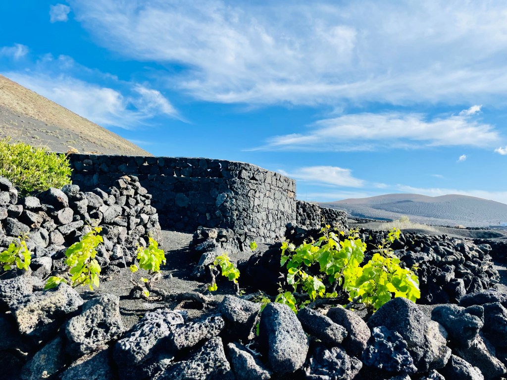 I vigneti di La Geria - Lanzarote