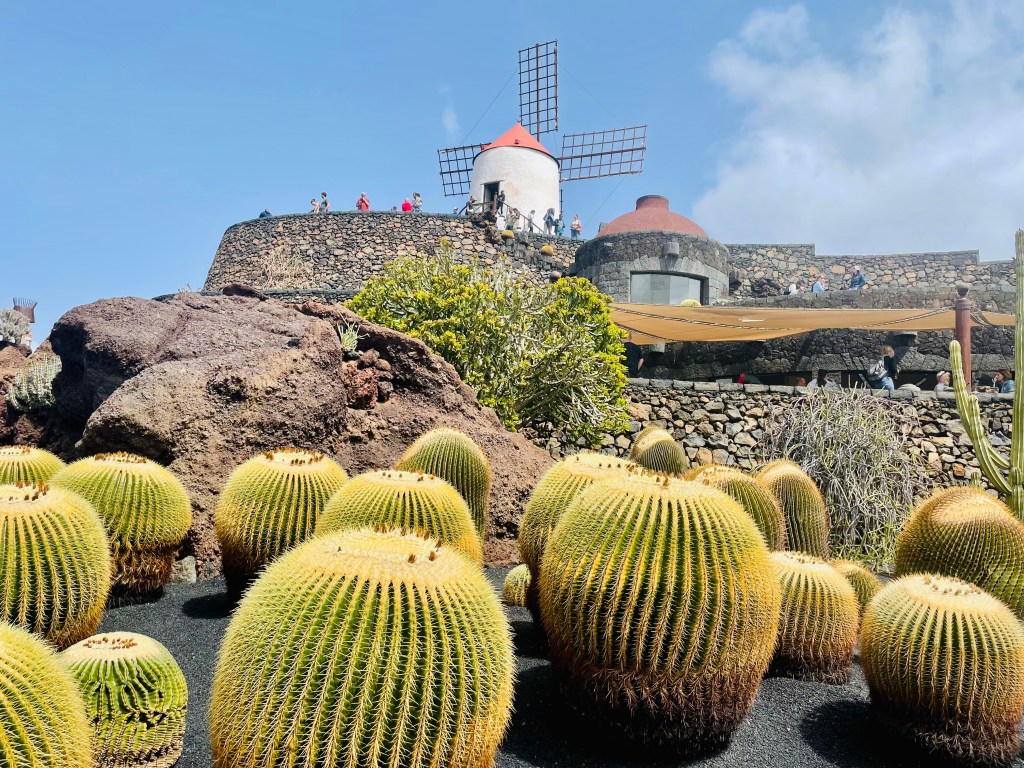 giardino dei cactus - lanzarote