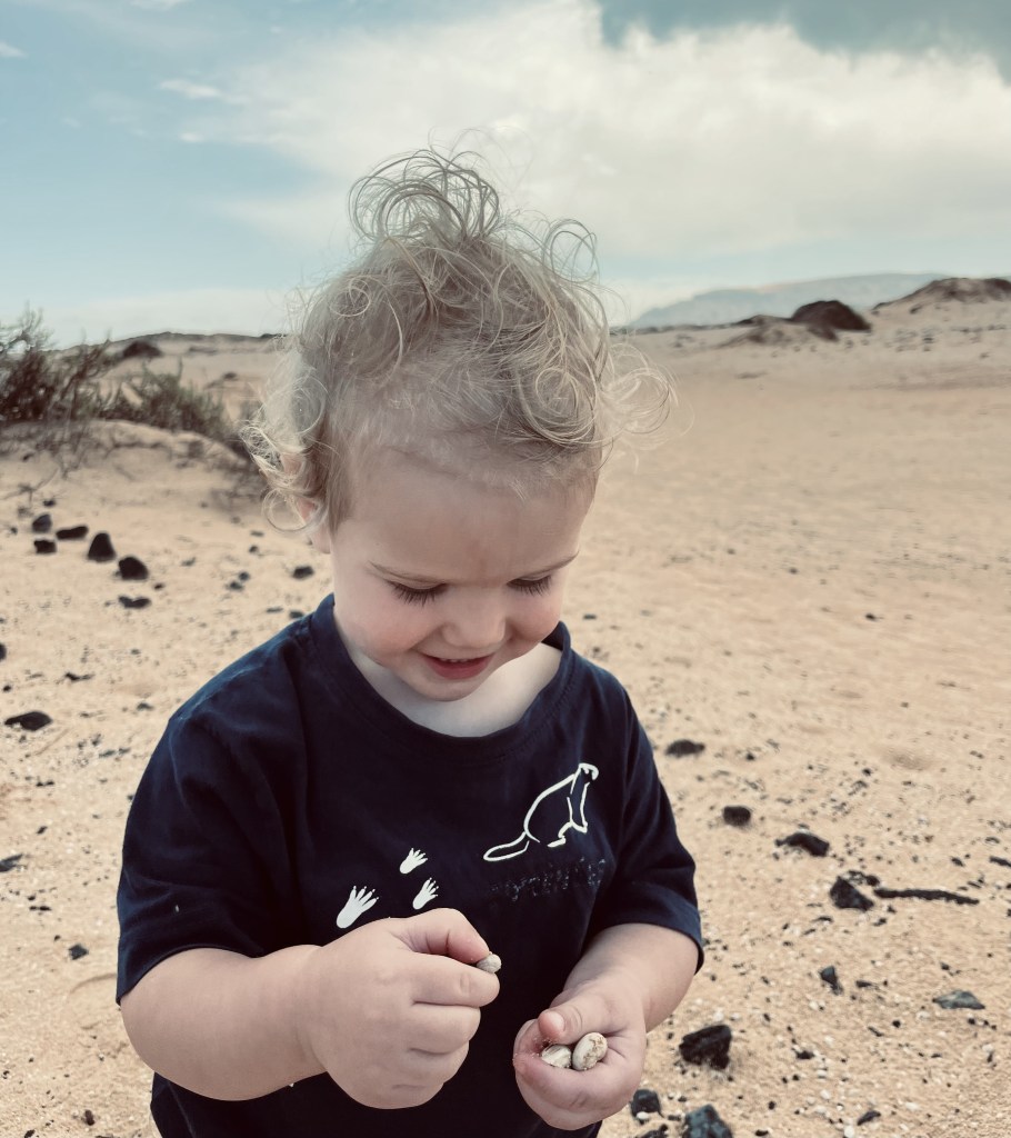 Raccogliere conchiglie - La Graciosa, Isole Canarie, Spagna