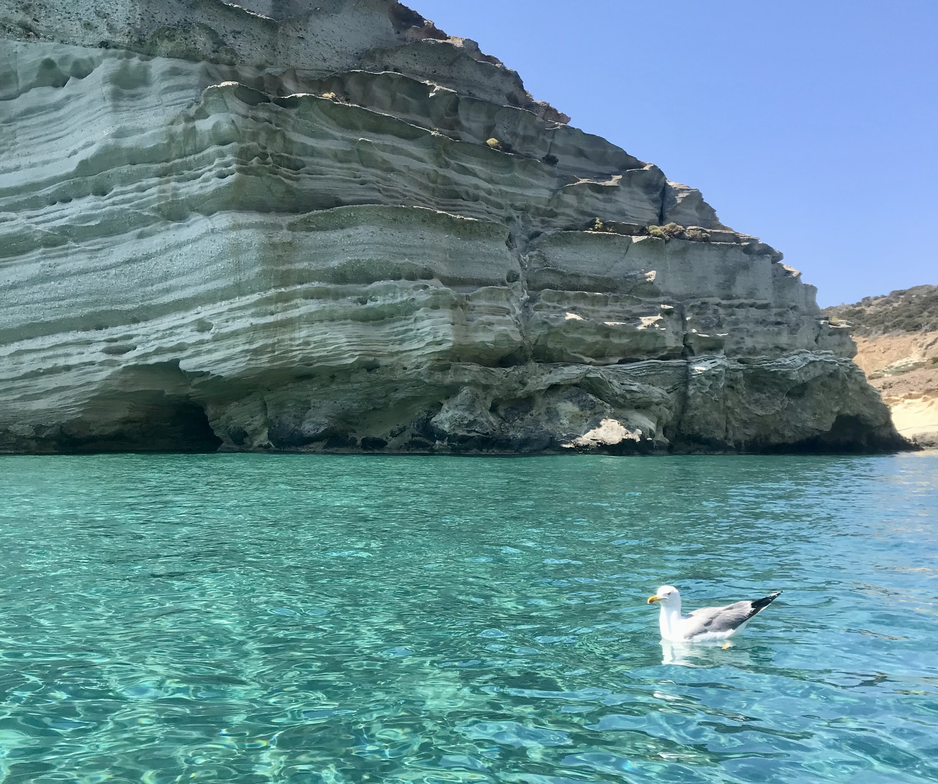 Gabbiani nel mare azzurrissimo di Kleftiko - Milos, Isole Cicladi, Grecia