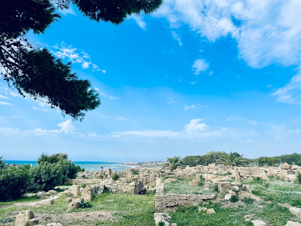 Vista mare dal parco archeologico di Selinunte - Trapani, Sicilia, Italia