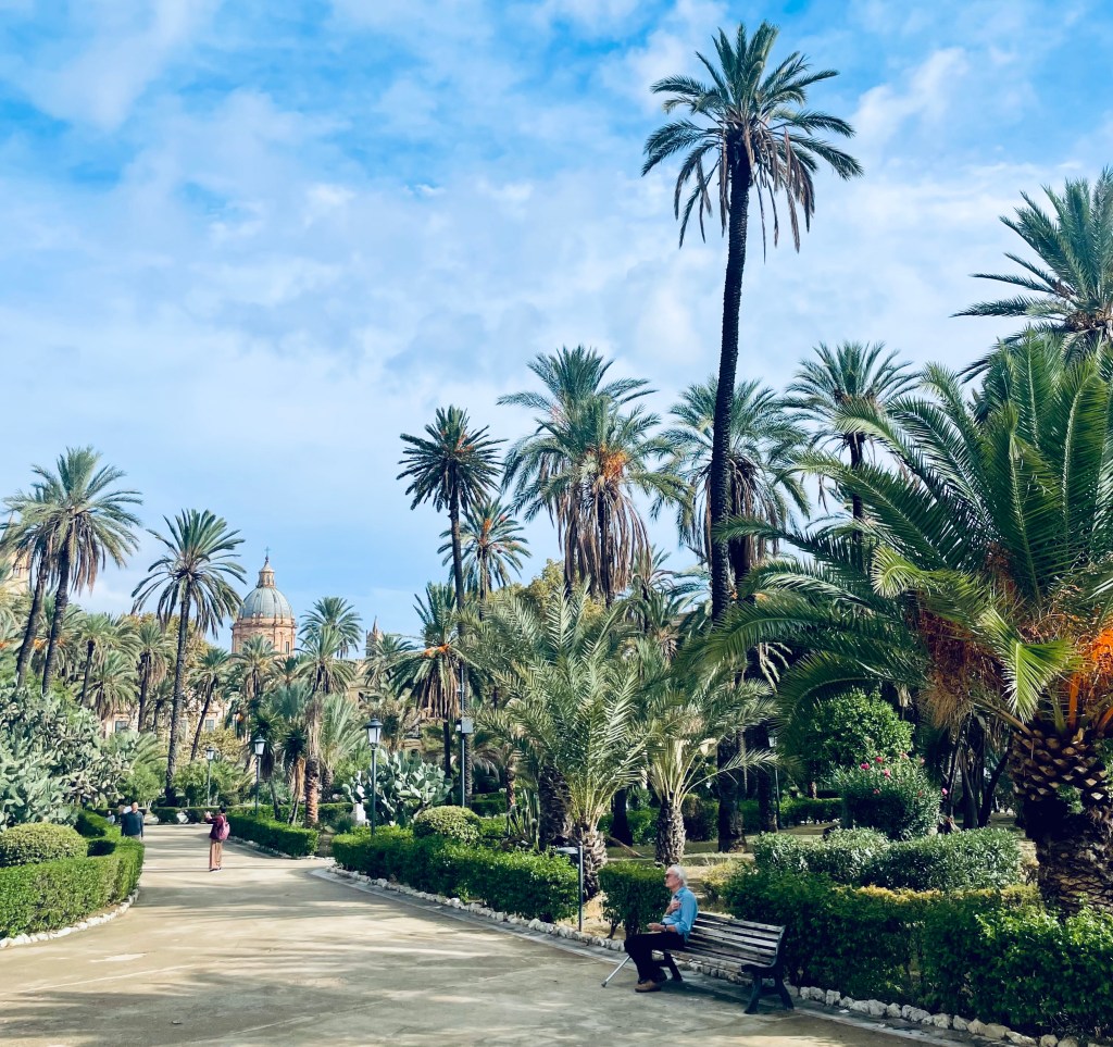 Palme e sullo sfondo la cupola della Cattedrale a Palermo - Sicilia, Italia