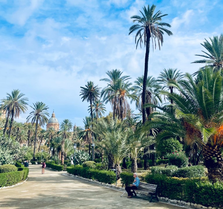 Palme e sullo sfondo la cupola della Cattedrale a Palermo - Sicilia, Italia