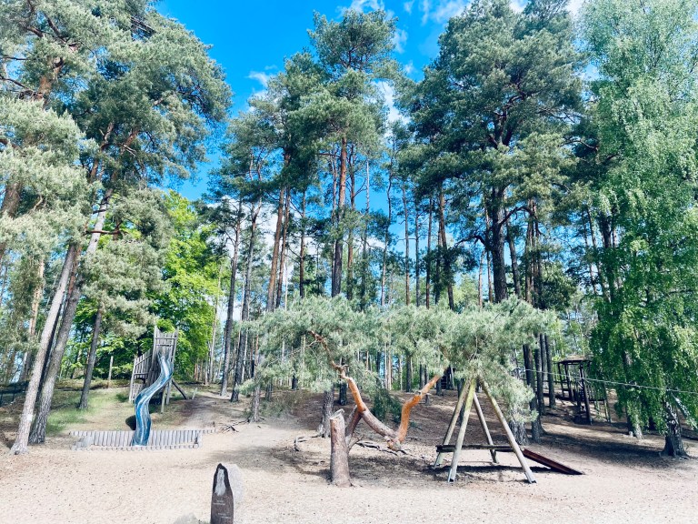 Uno splendido parco giochi immerso nel bosco - Wildpark Schorfheide, Brandeburgo, Germania