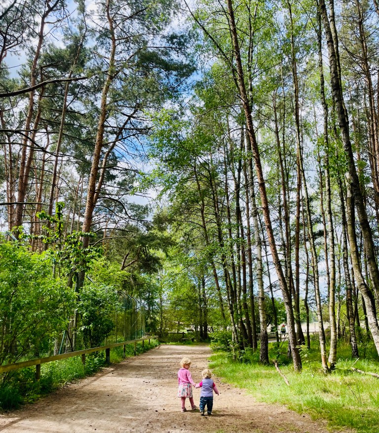 Il parco è un'ottima idea per una gita fuoriporta con i più piccoli - Wildpark Schorfheide, Brandeburgo, Germania